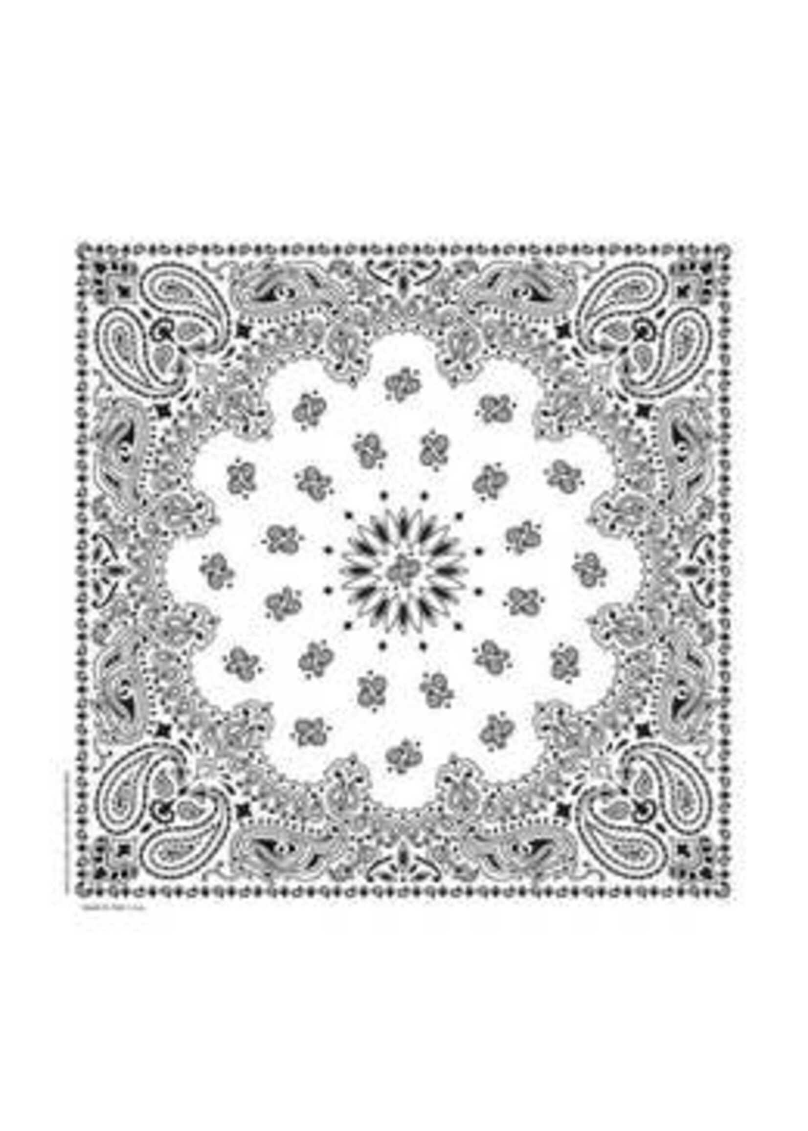 Classic Paisley Bandanna