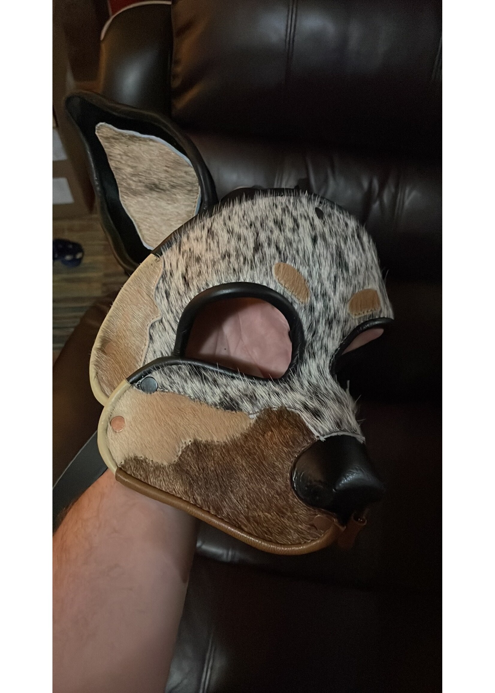 P & C Creations Custom Leather Hoods Blue Merle Aust Shepherd Med Breed