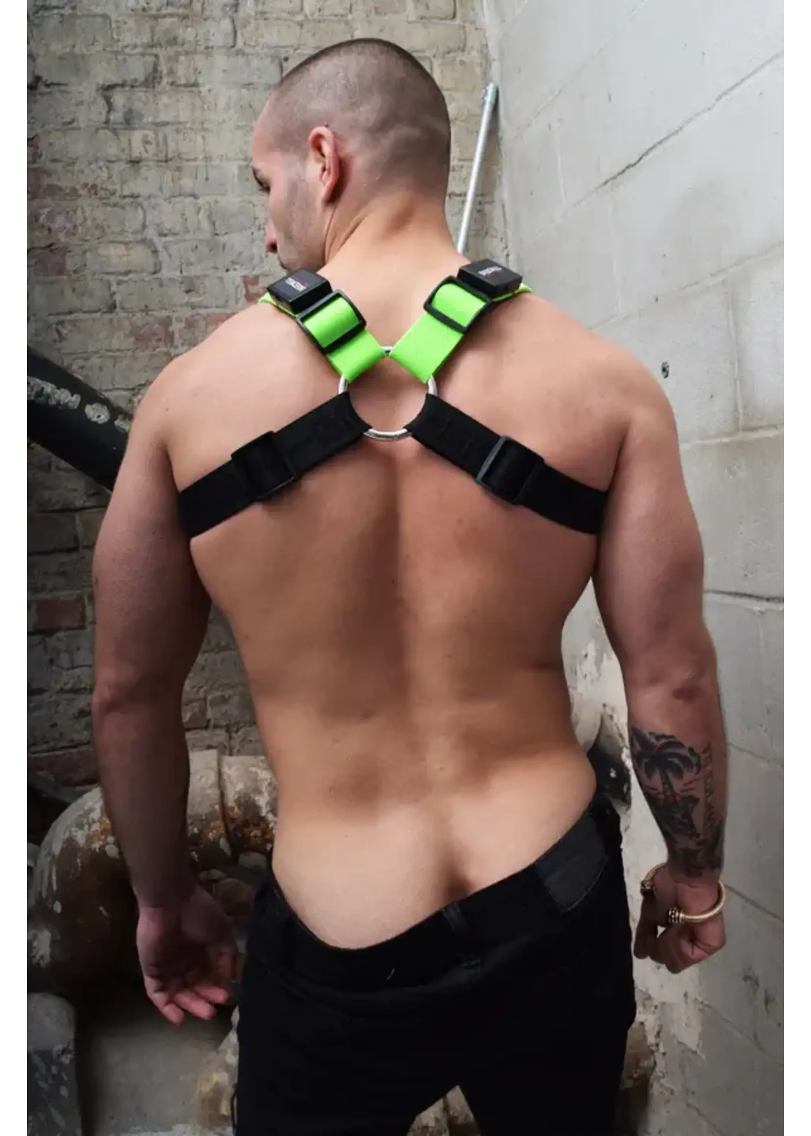 Breedwell Gear Breedwell Poundtown Bulldog Harness