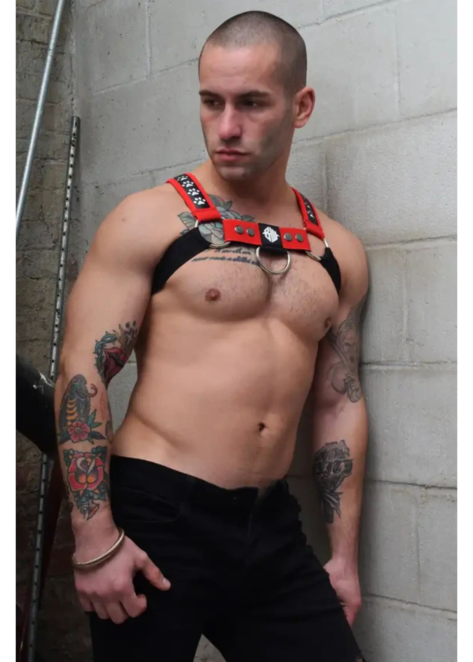 Breedwell Gear Breedwell Poundtown Bulldog Harness