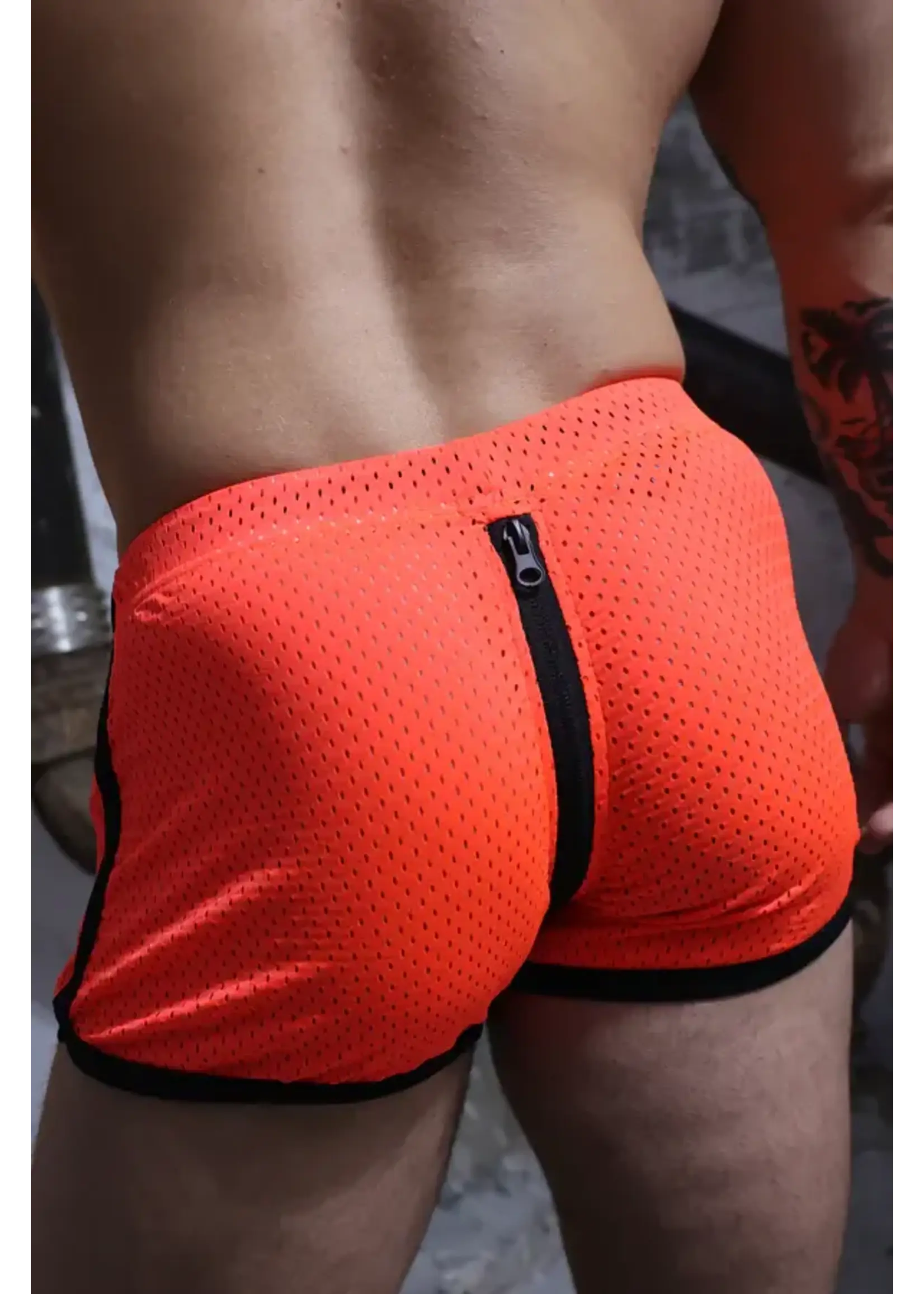 Breedwell Gear Exposer Circuit Shorts