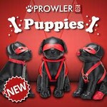 Prowler Red Puppies