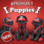 ProwlerRED Prowler Red Puppies