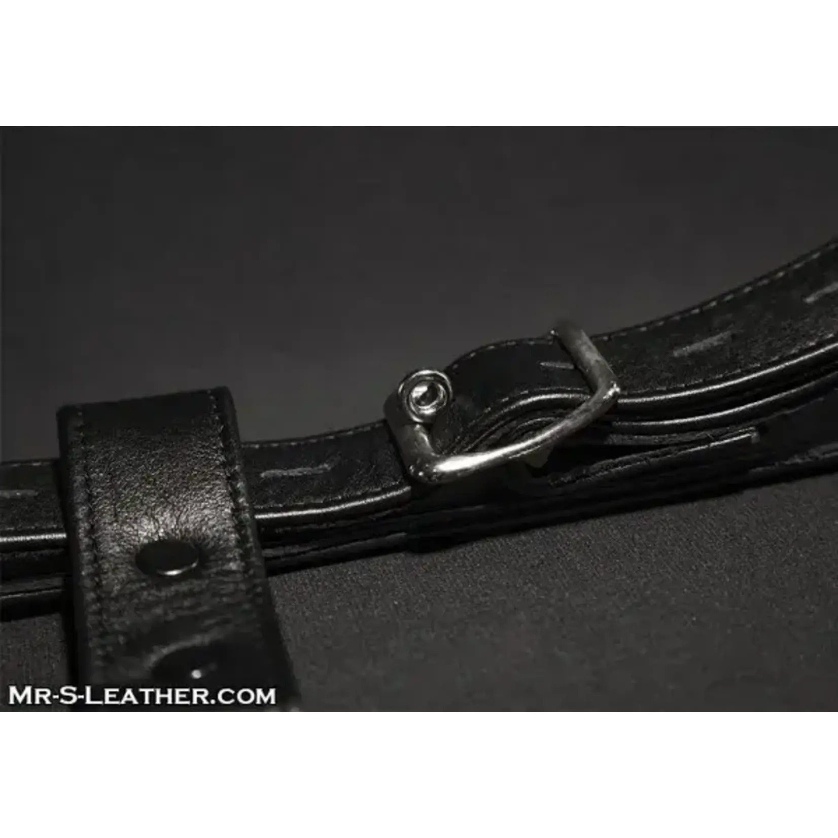 Mr. S Leather Mr. S Leather - Deluxe Locking Leather Butt Plug Harness
