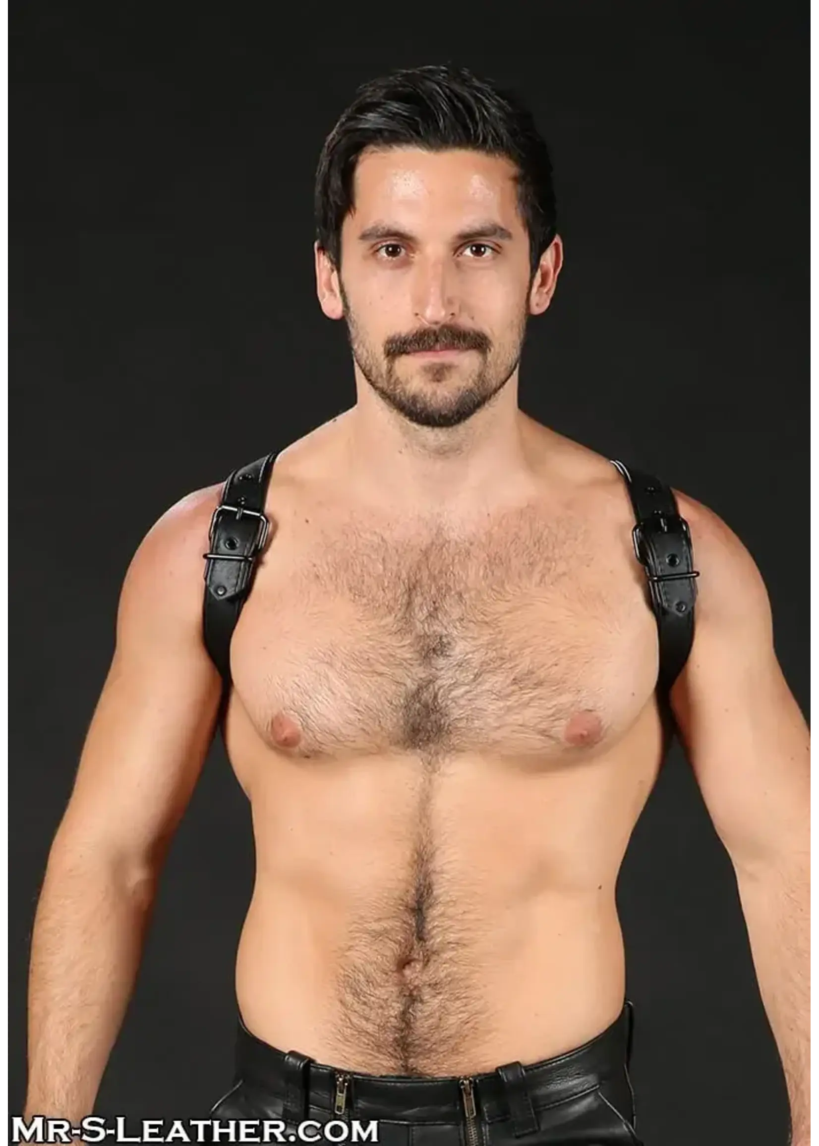 Mr. S Leather Mr. S Leather - Leather Cadet Shoulder Harness