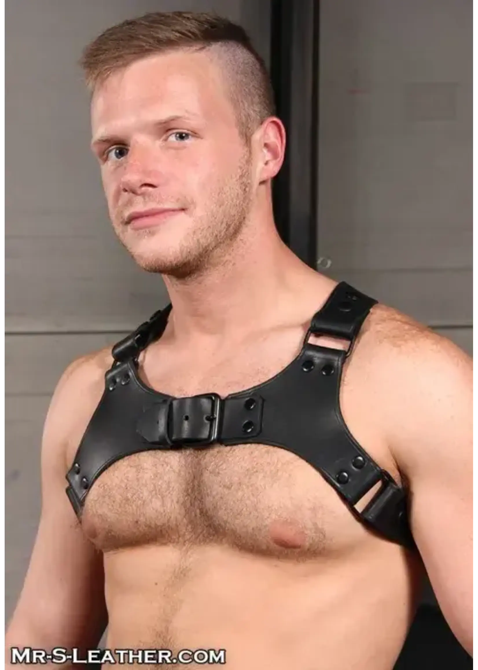 Mr. S Leather Mr. S Leather - Leather Centurion Harness
