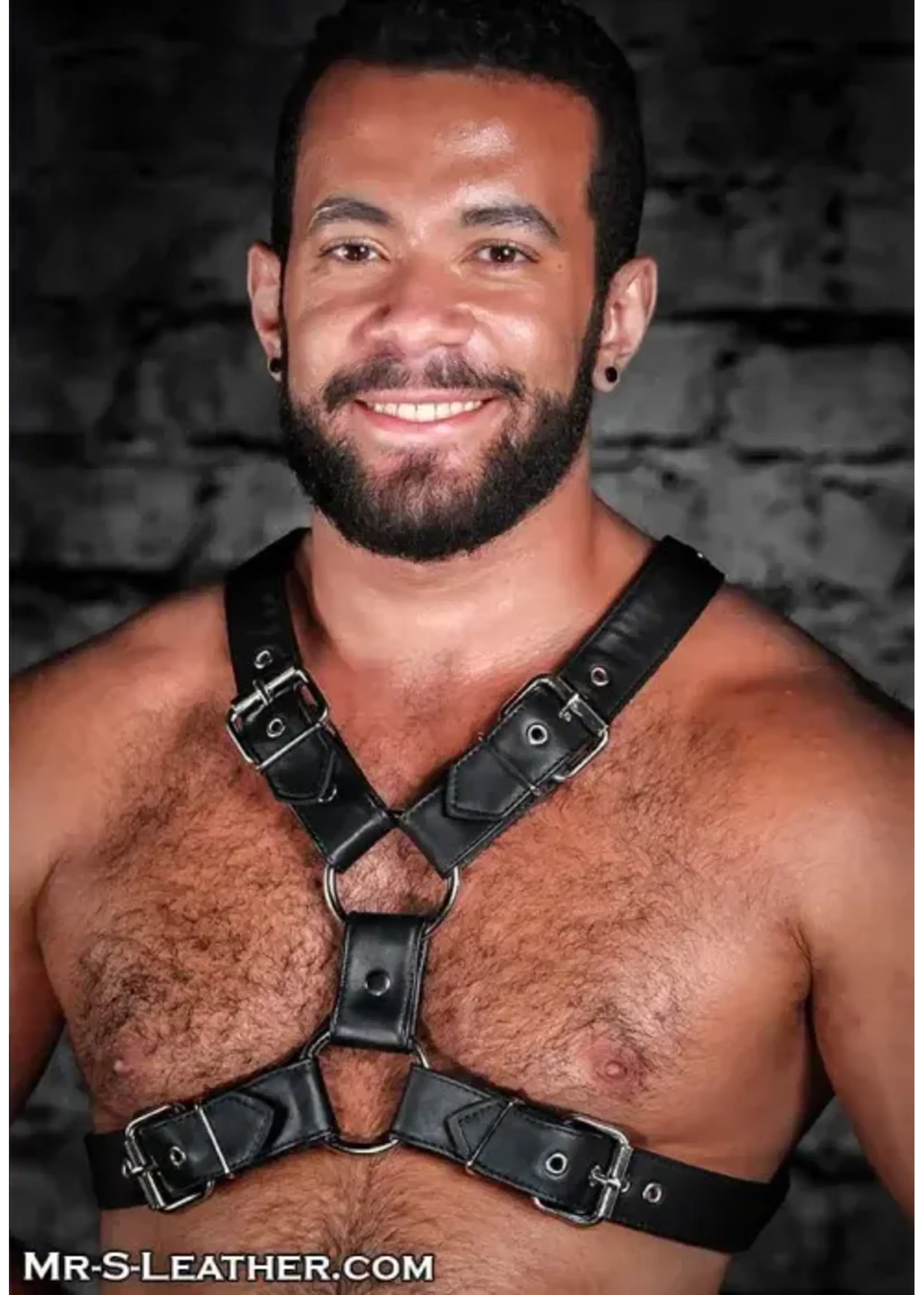 Mr. S Leather Mr. S Leather - Leather English Top Buckle Harness - Garment