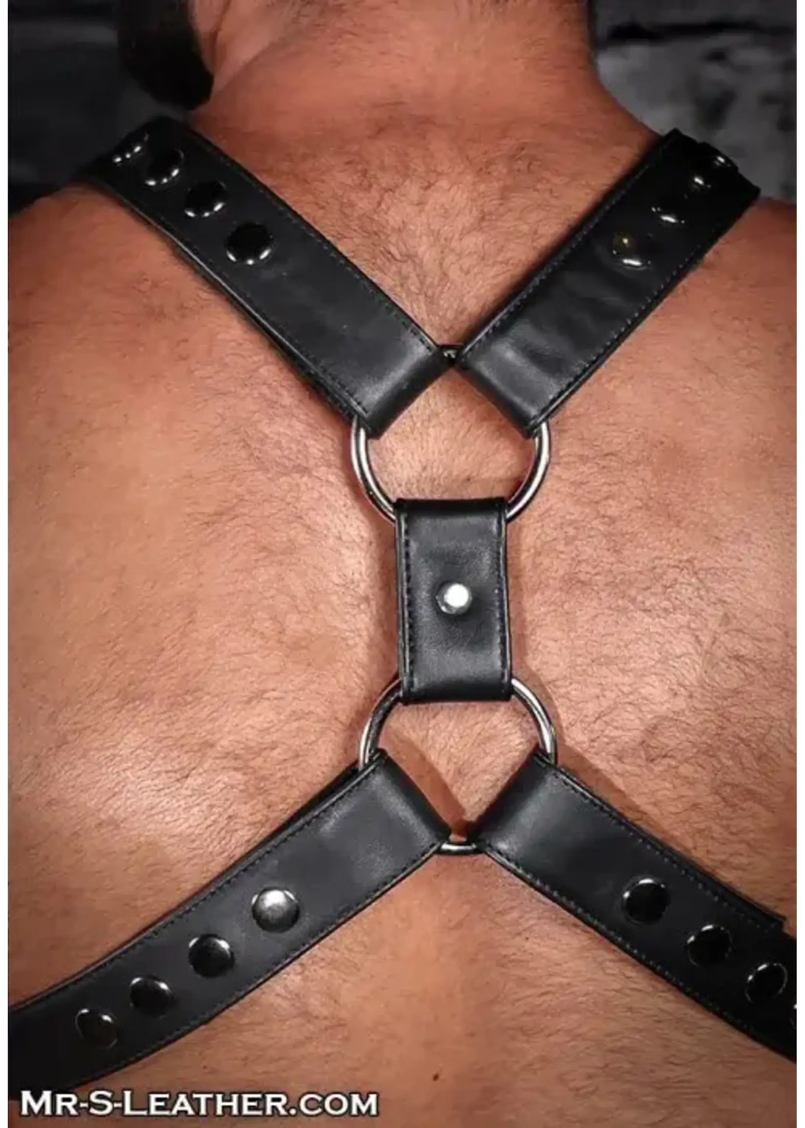 Mr. S Leather Mr. S Leather - Leather English Top Buckle Harness - Garment