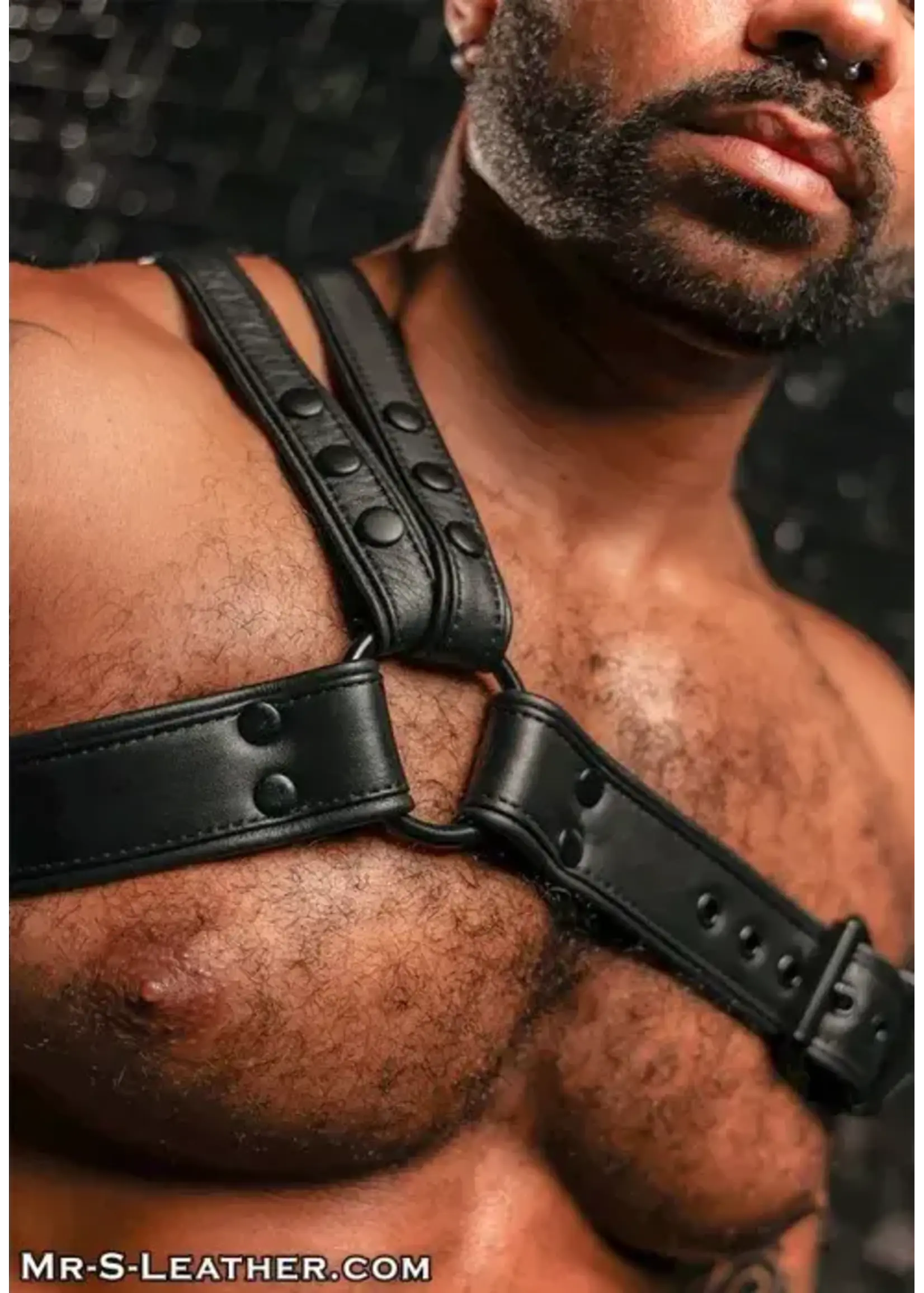 Mr. S Leather Mr. S Leather - Leather Slingshot Tri-Harness