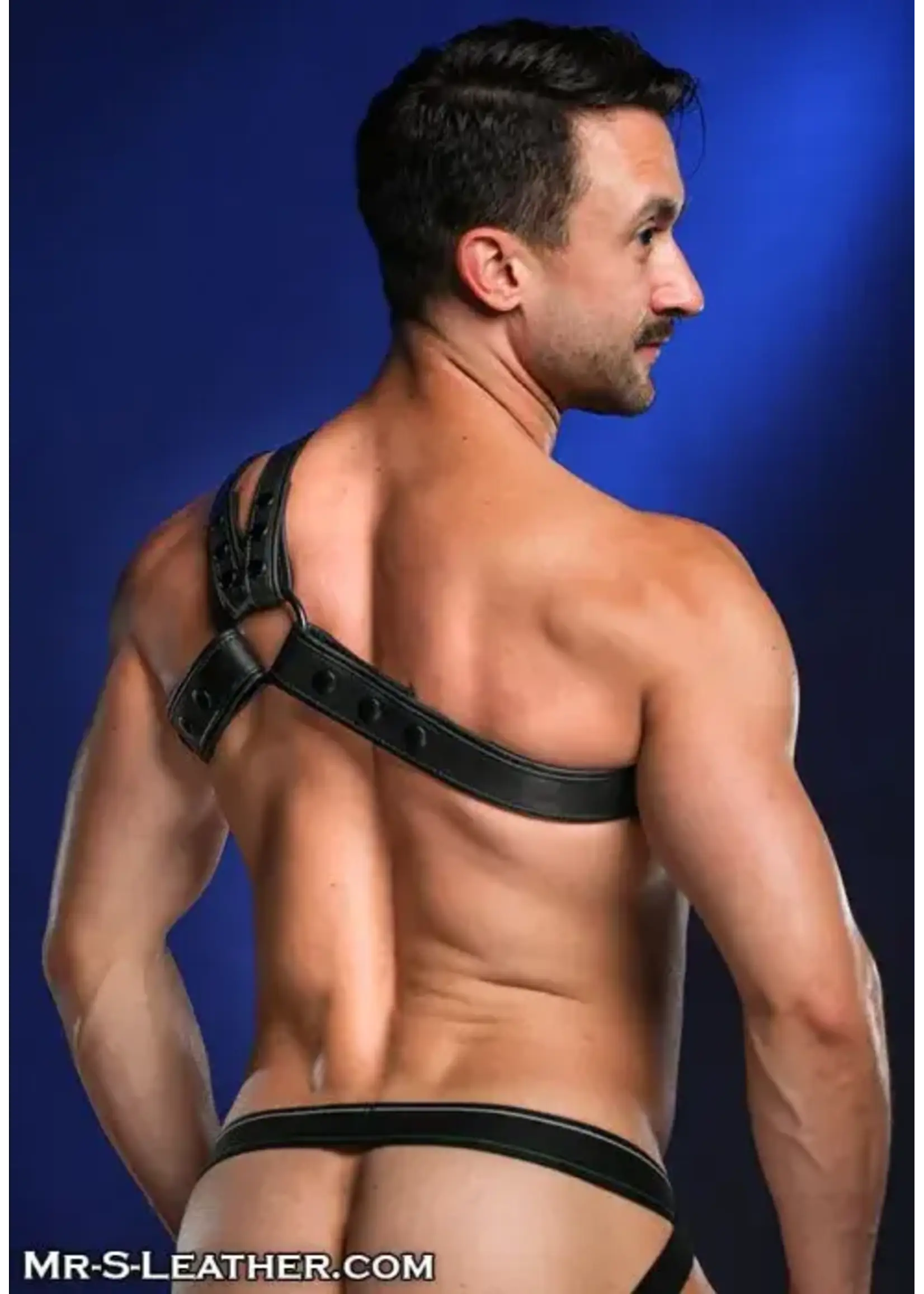 Mr. S Leather Mr. S Leather - Leather Slingshot Tri-Harness
