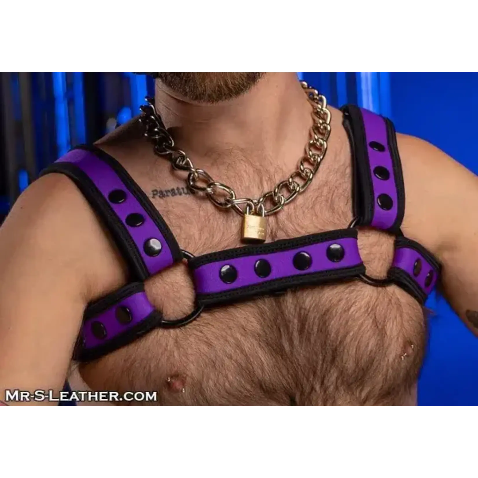 Mr. S Leather Mr. S Leather - Neo Bold Color Bulldog Harness