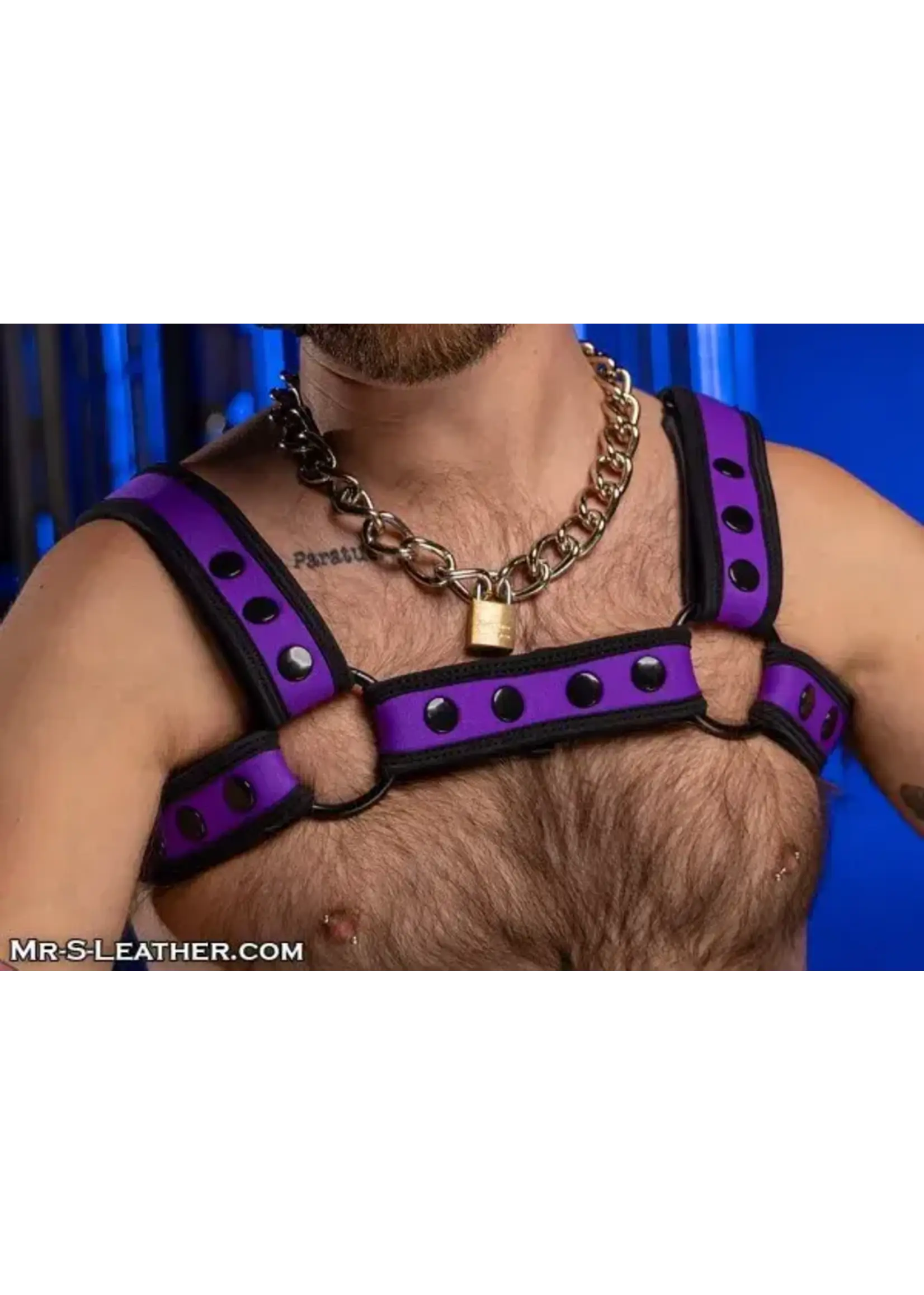 Mr. S Leather Mr. S Leather - Neo Bold Color Bulldog Harness