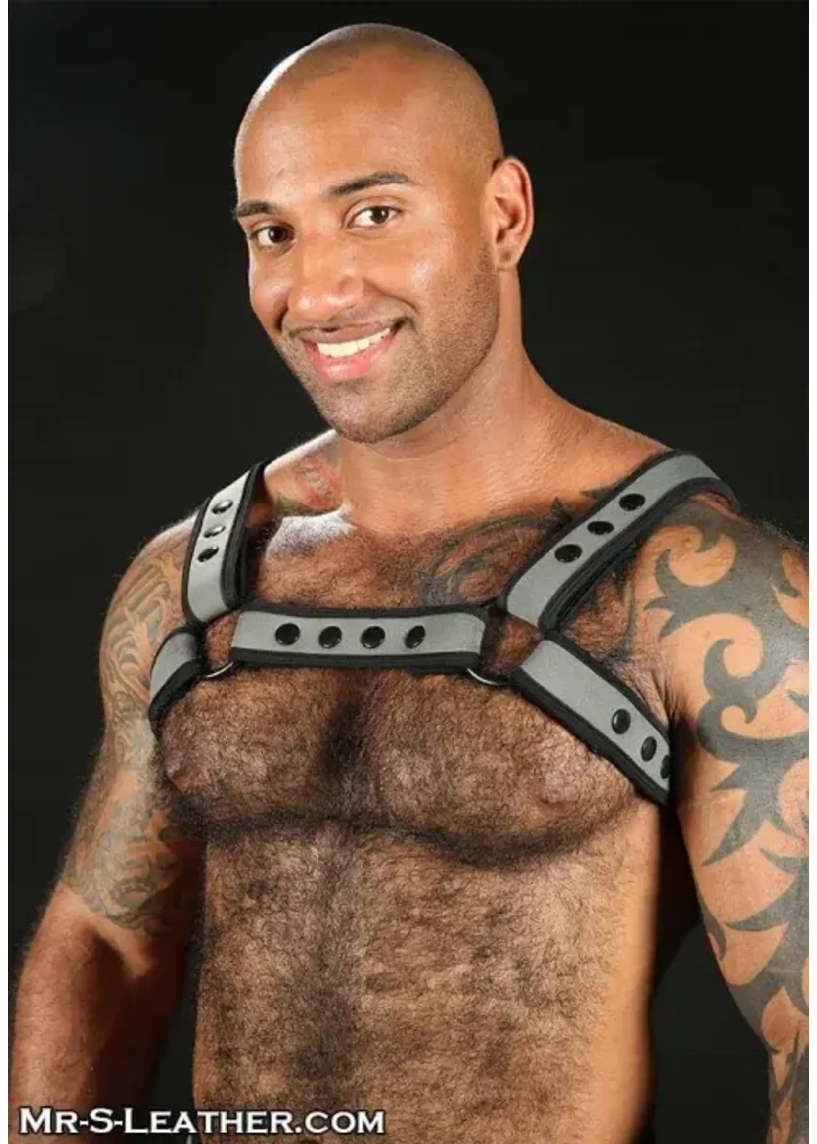 Mr. S Leather Mr. S Leather - Neo Bold Color Bulldog Harness