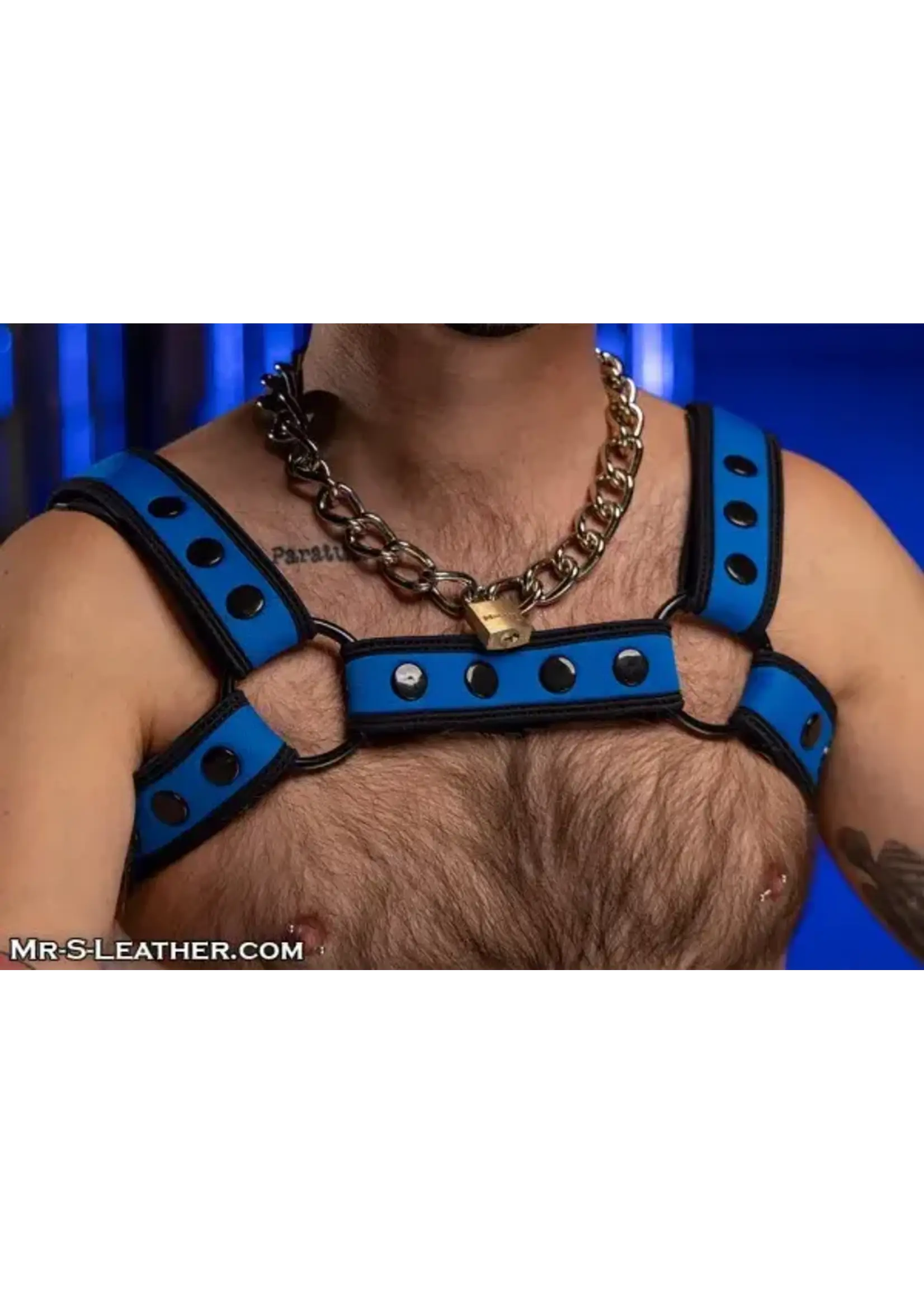 Mr. S Leather Mr. S Leather - Neo Bold Color Bulldog Harness