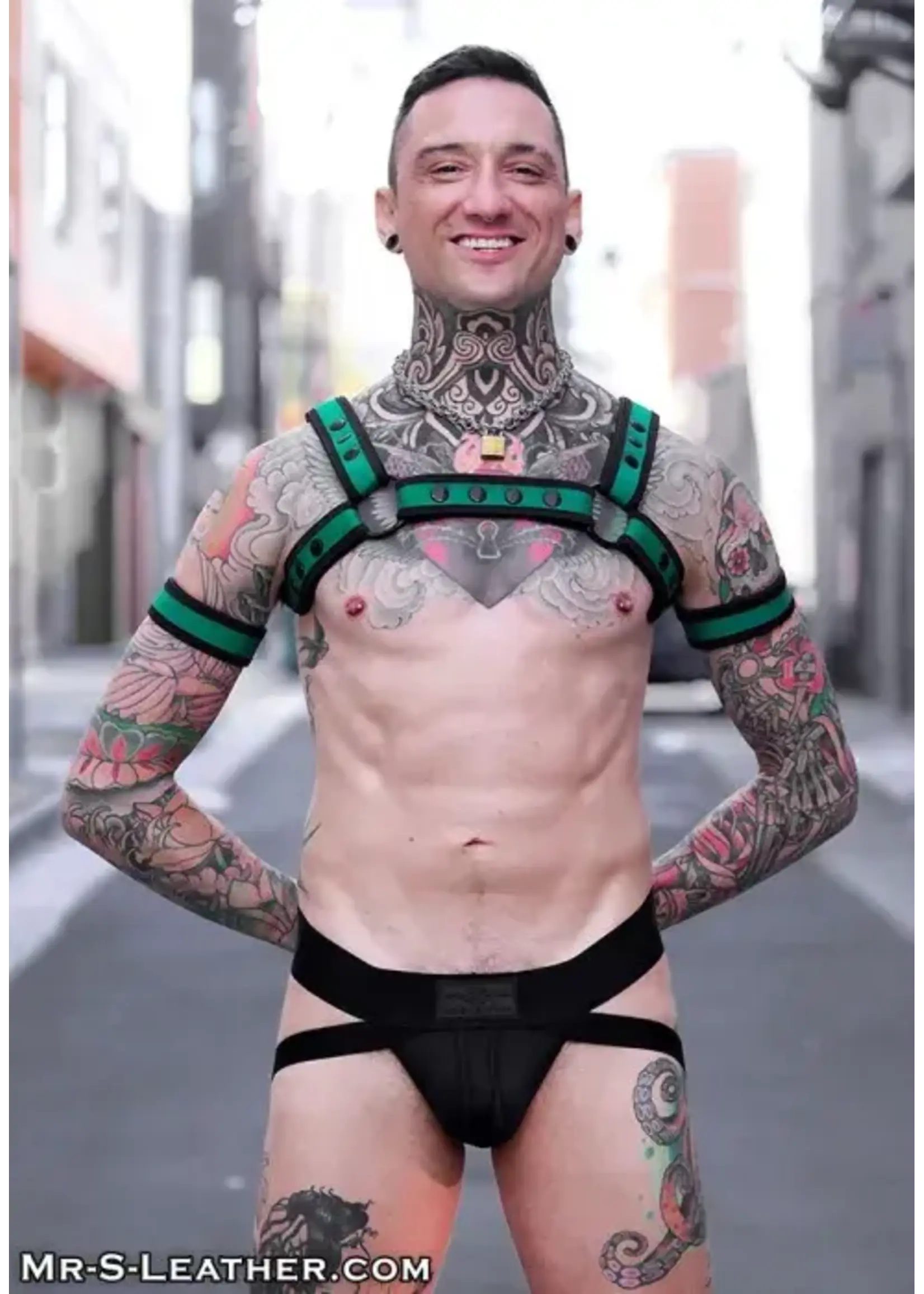 Mr. S Leather Mr. S Leather - Neo Bold Color Bulldog Harness