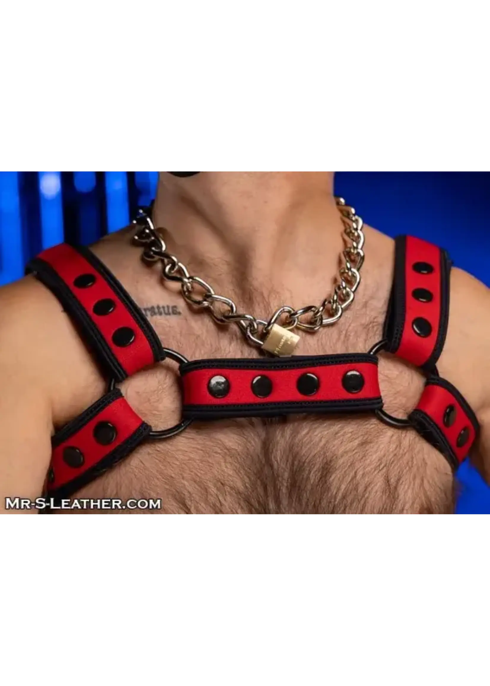 Mr. S Leather Mr. S Leather - Neo Bold Color Bulldog Harness