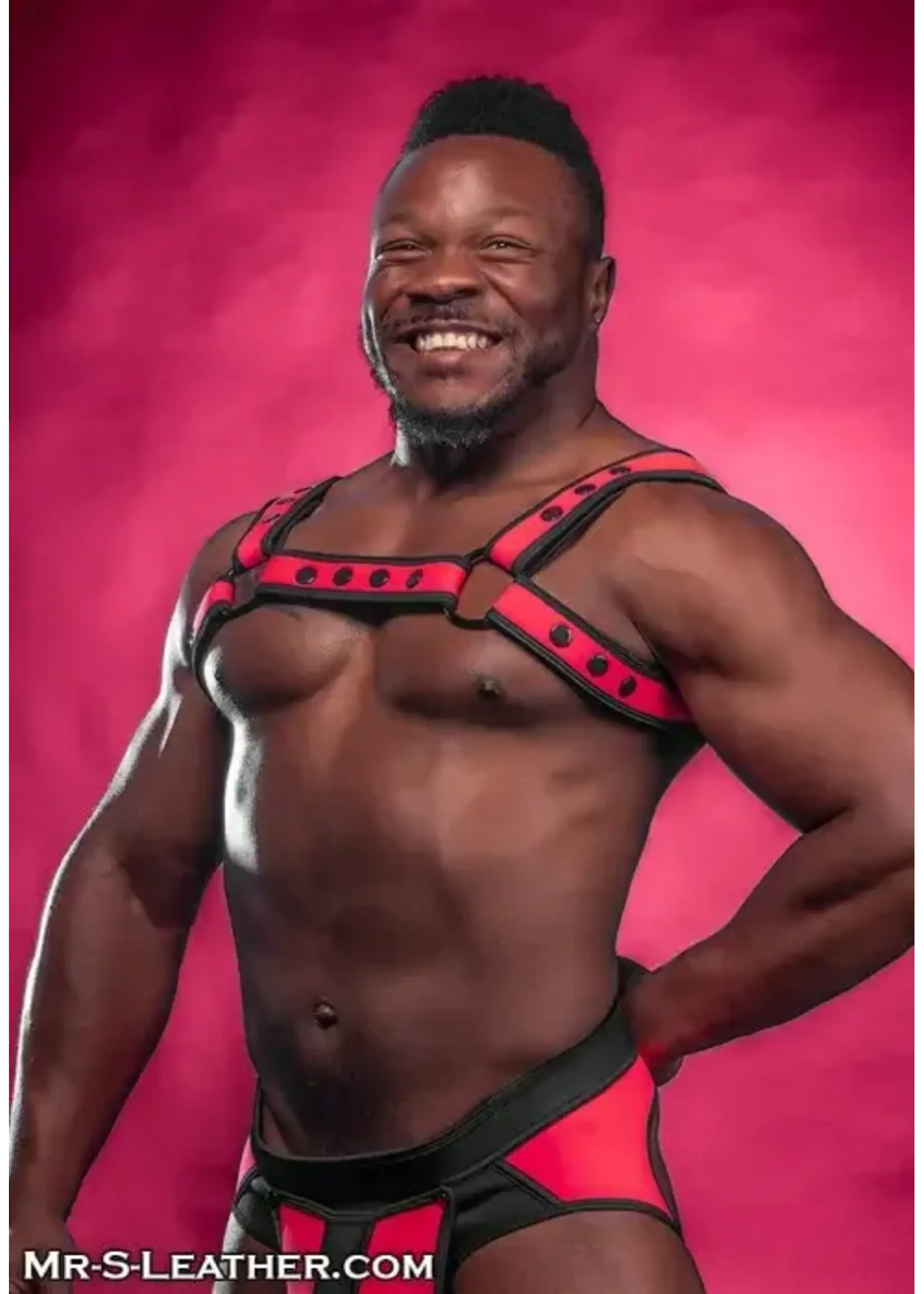 Mr. S Leather Mr. S Leather - Neo Bold Color Bulldog Harness