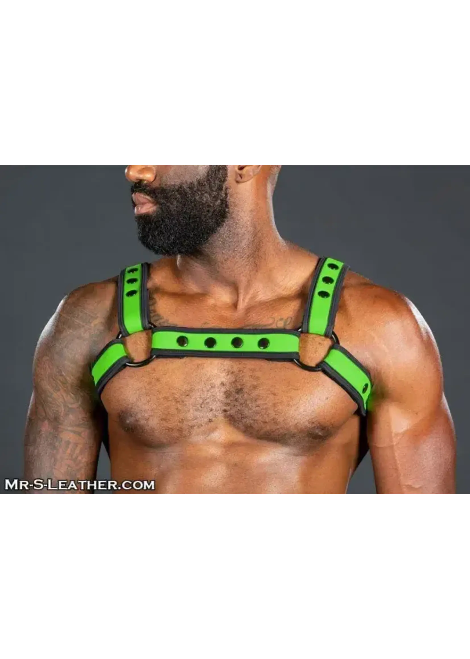 Mr. S Leather Mr. S Leather - Neo Bold Color Bulldog Harness