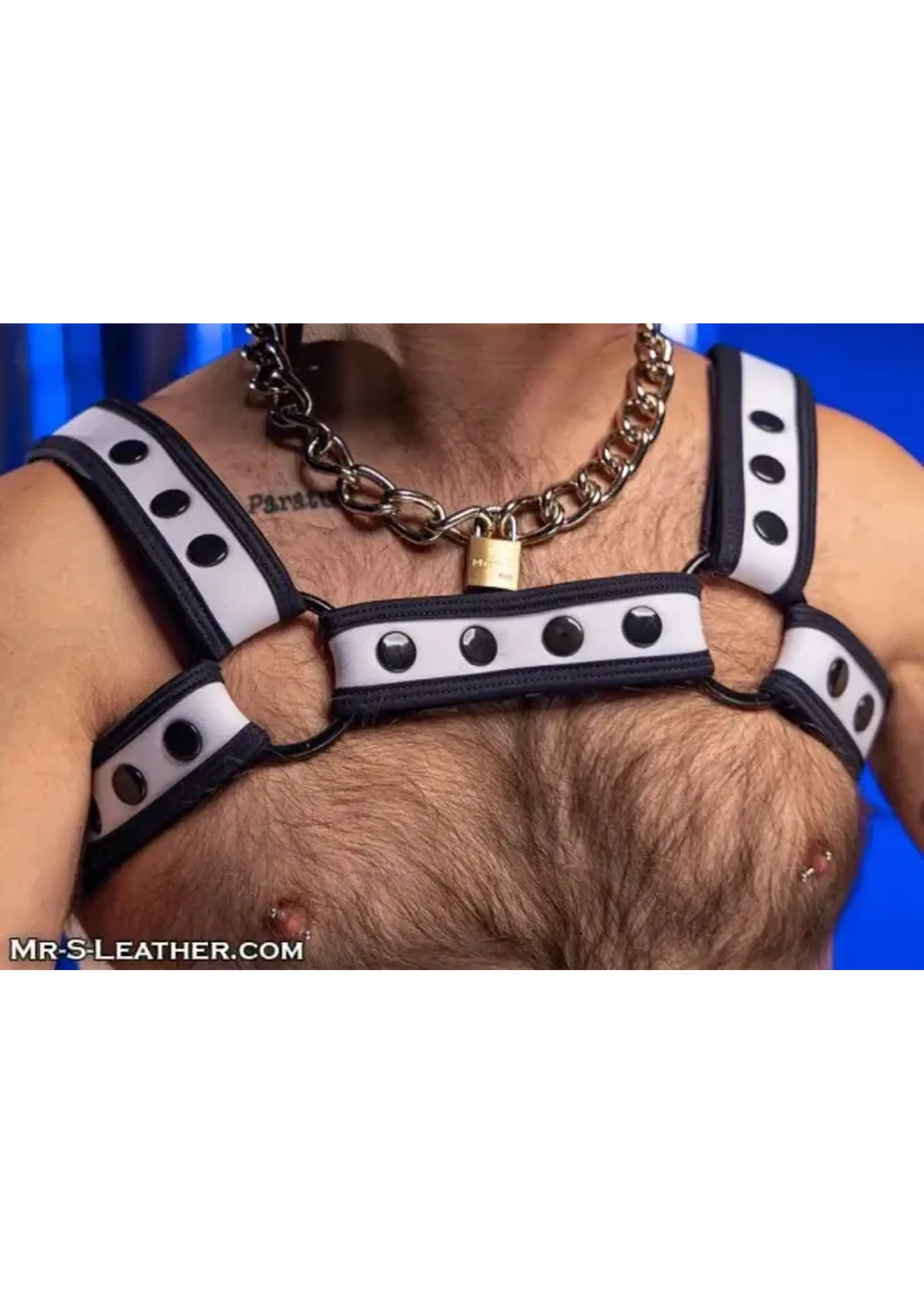 Mr. S Leather Mr. S Leather - Neo Bold Color Bulldog Harness