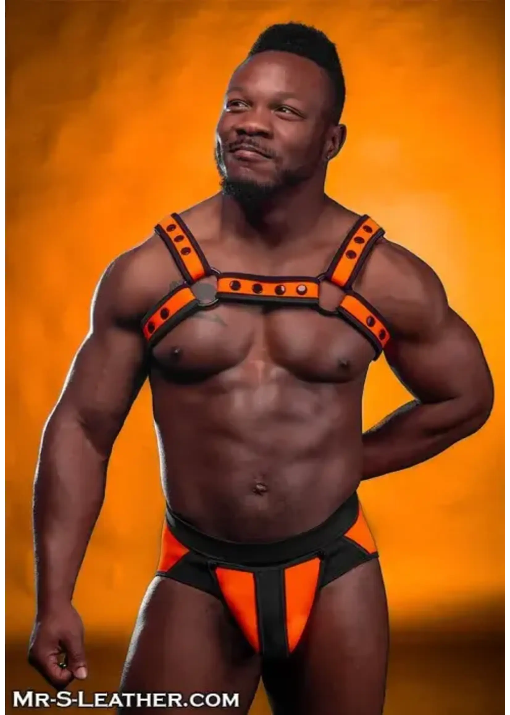 Mr. S Leather Mr. S Leather - Neo Bold Color Bulldog Harness