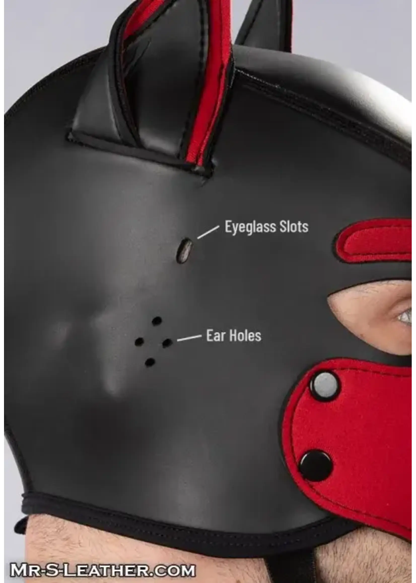 Mr. S Leather Mr. S Leather Customizable Neoprene K9 Puppy Hood