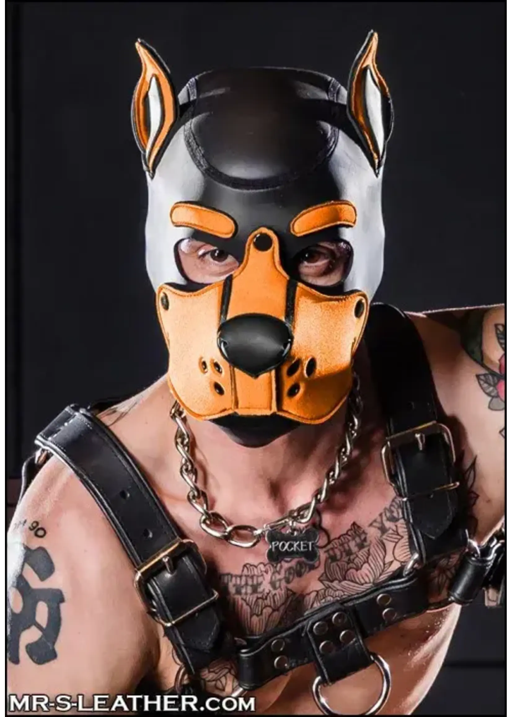 Mr. S Leather Neoprene K9 Hood