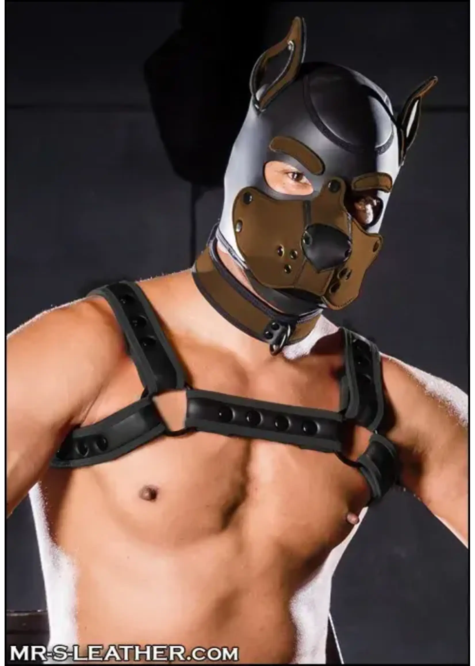 Mr. S Leather Neoprene K9 Hood