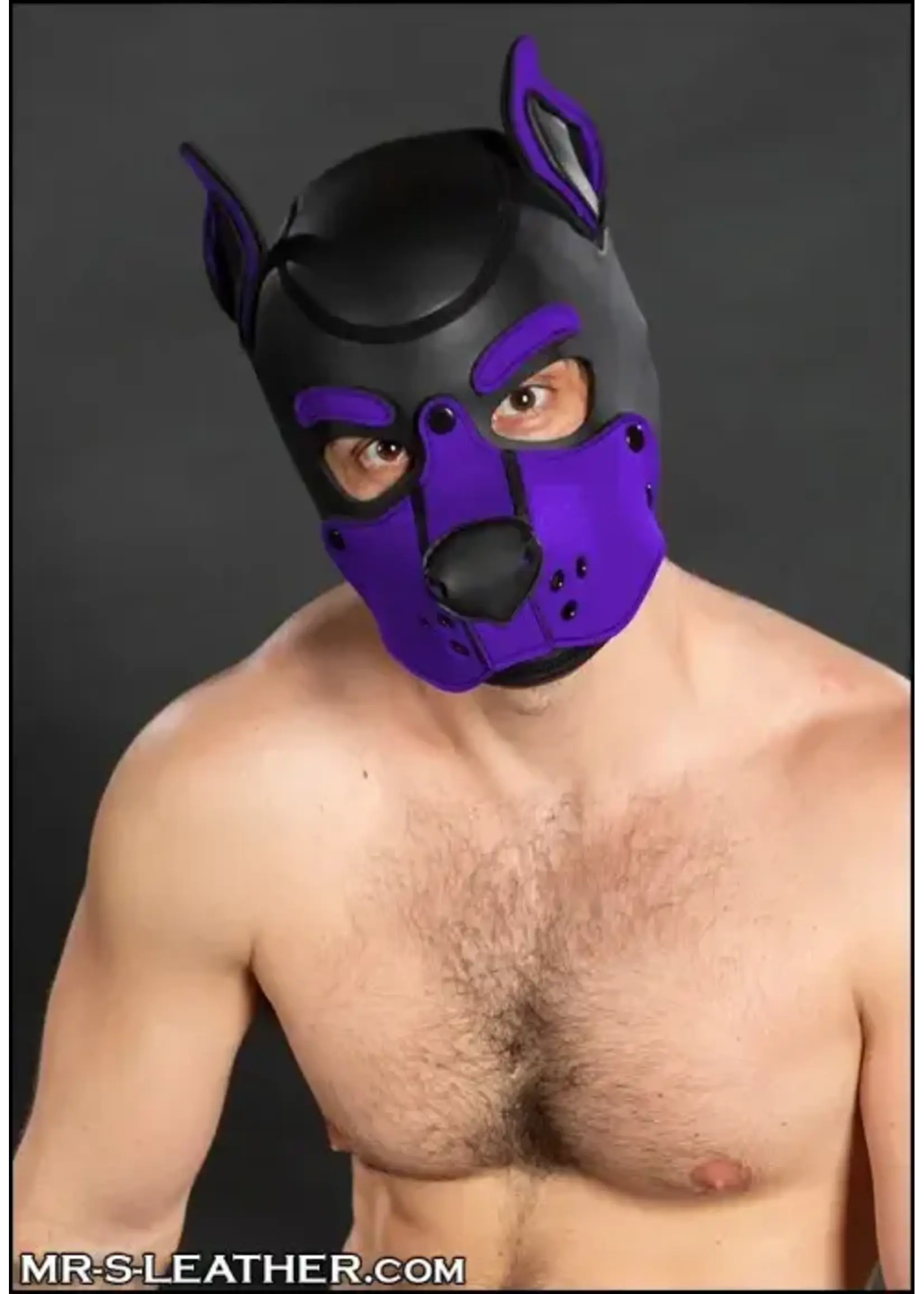 Mr. S Leather Neoprene K9 Hood