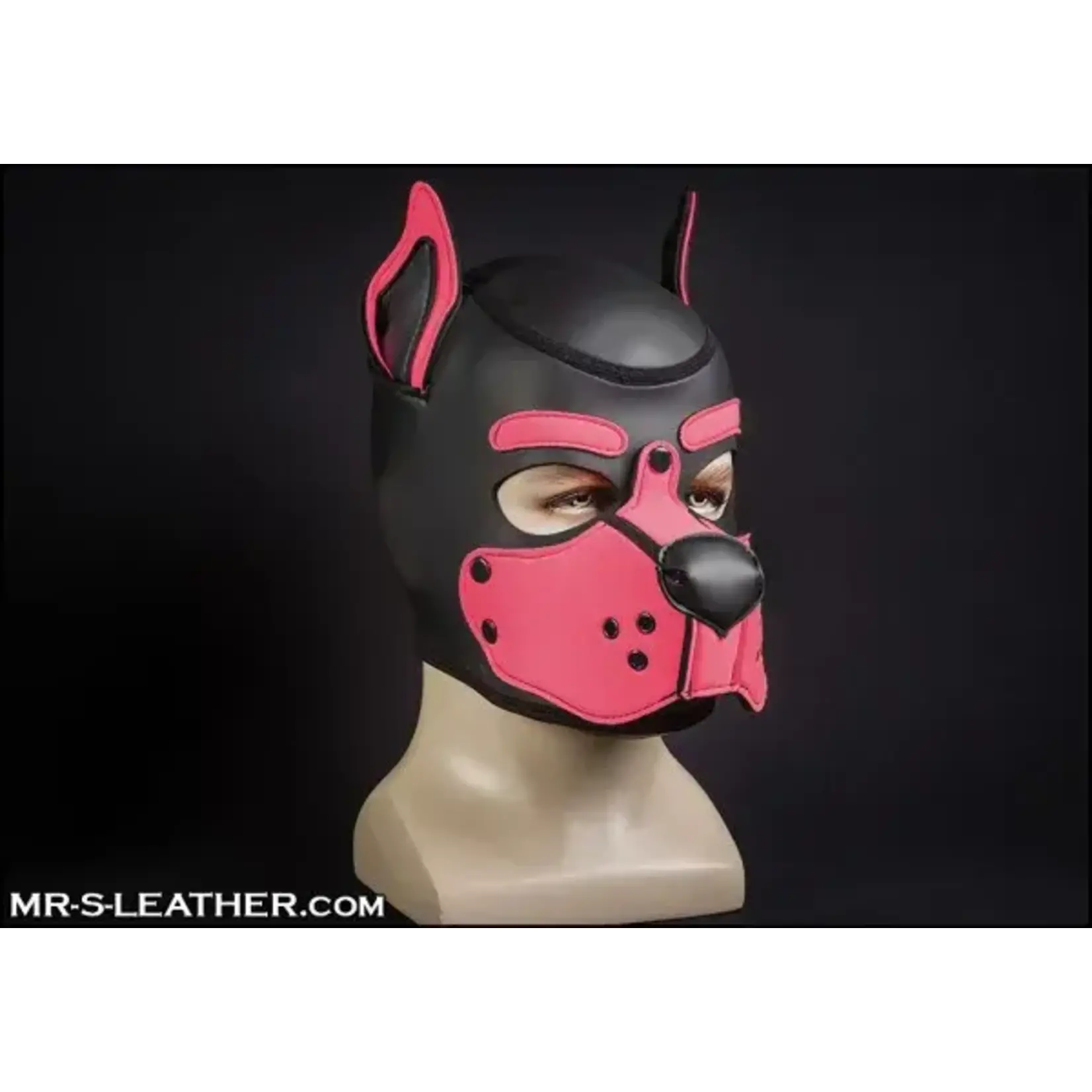Mr. S Leather Neoprene K9 Hood