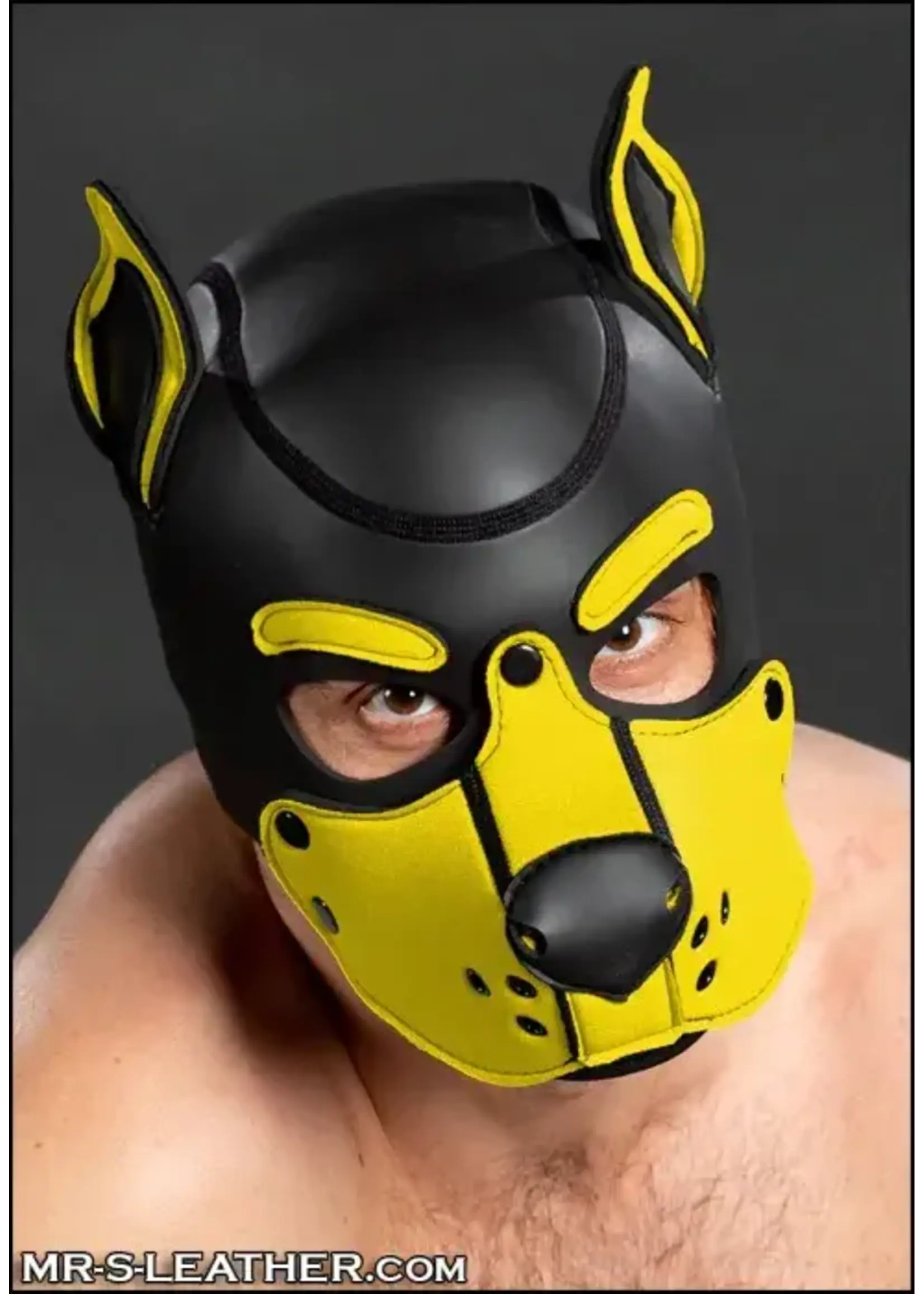 Mr. S Leather Neoprene K9 Hood