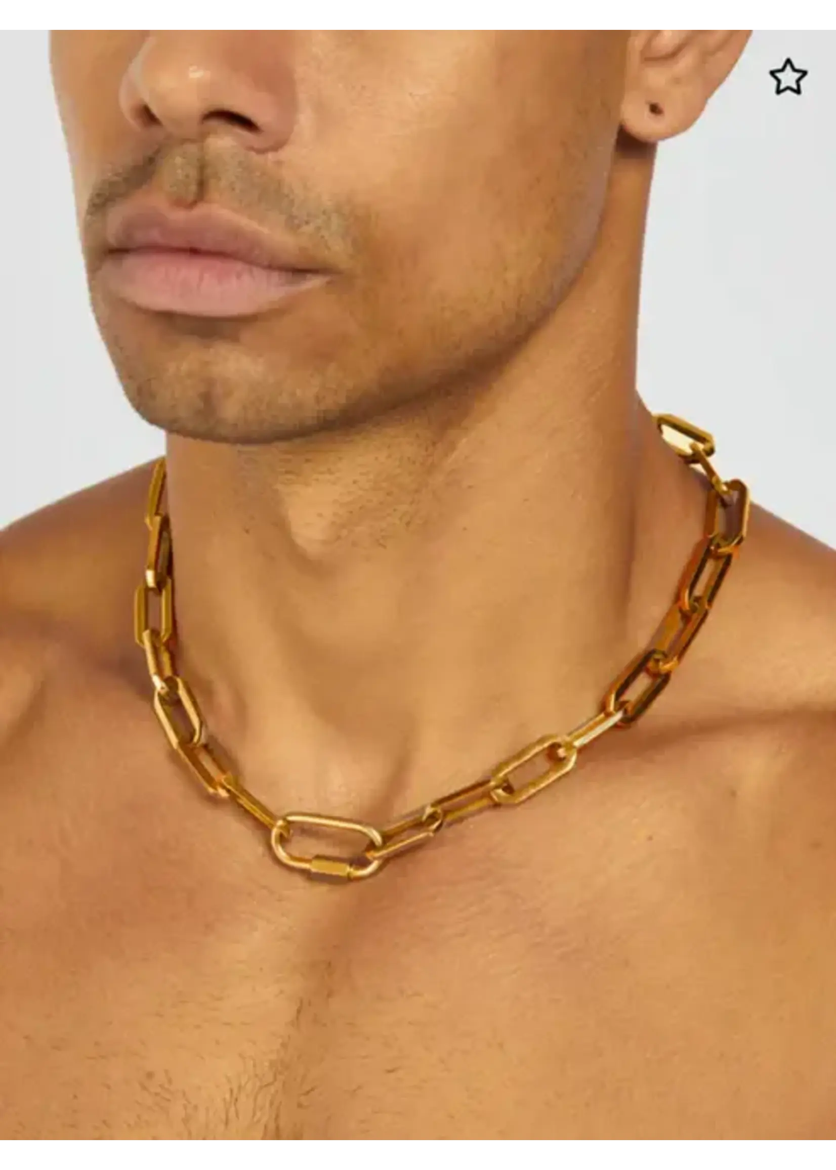 Carabiner Chain