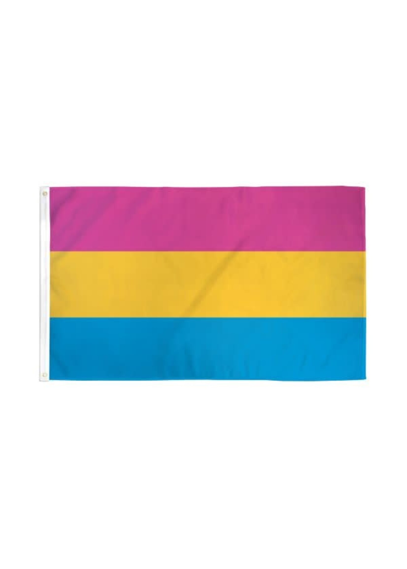 Flags Importer Pansexual Flag 3x5’