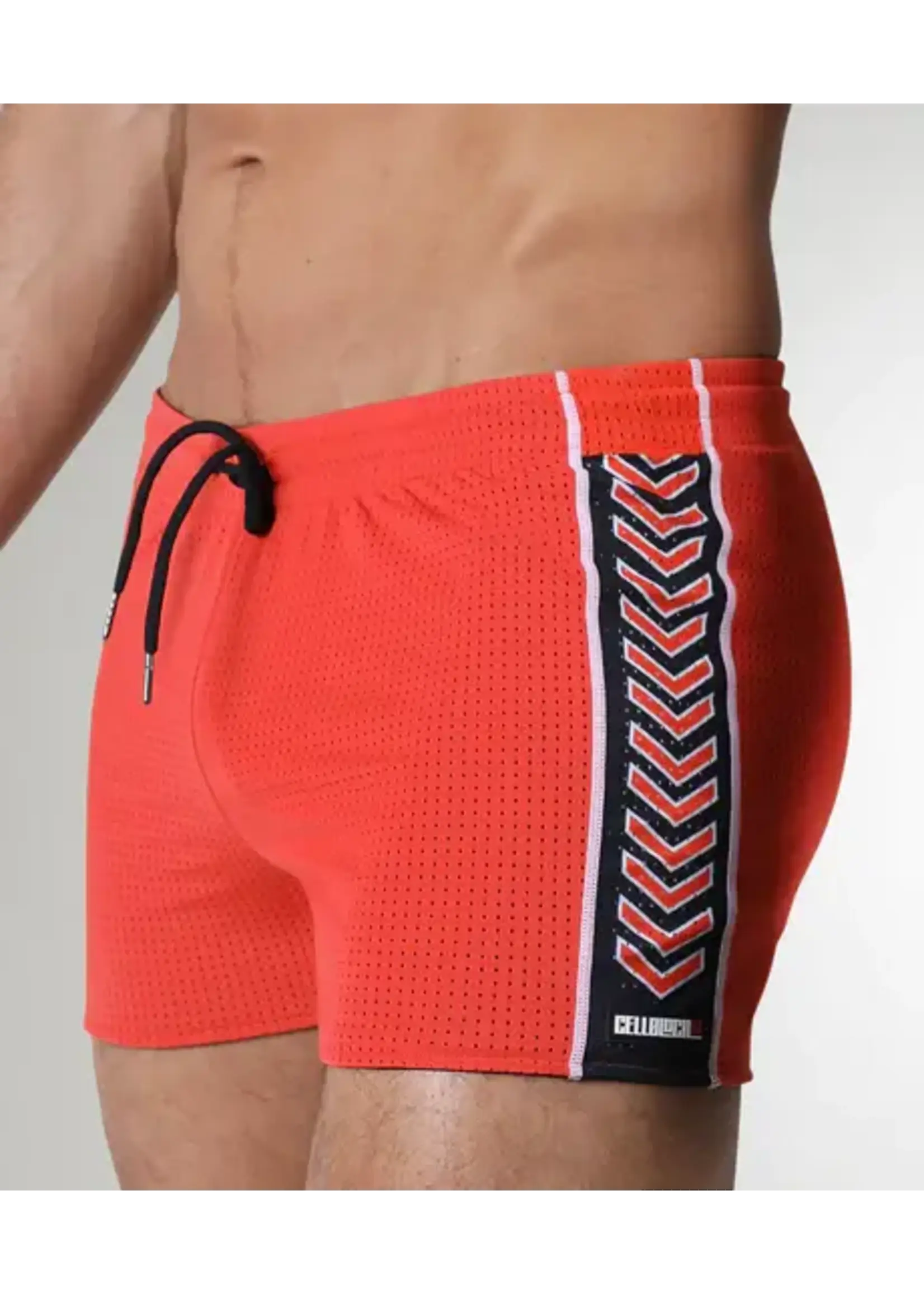 Cell Block 13 Kennel Club Spitfire Reversible Shorts