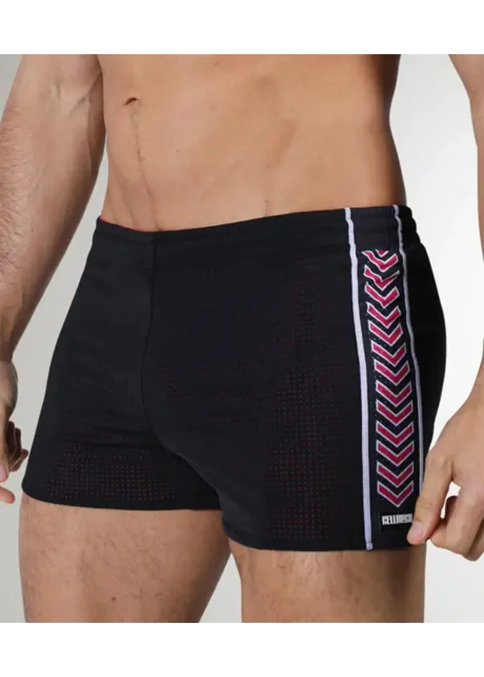 Cell Block 13 Kennel Club Spitfire Reversible Shorts