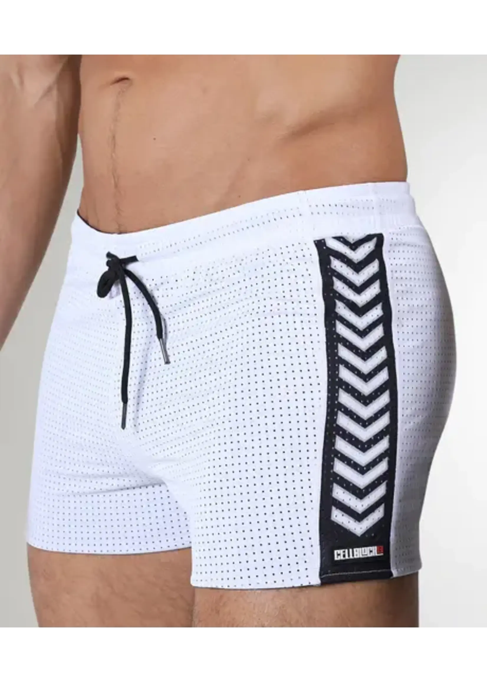 Cell Block 13 Kennel Club Spitfire Reversible Shorts