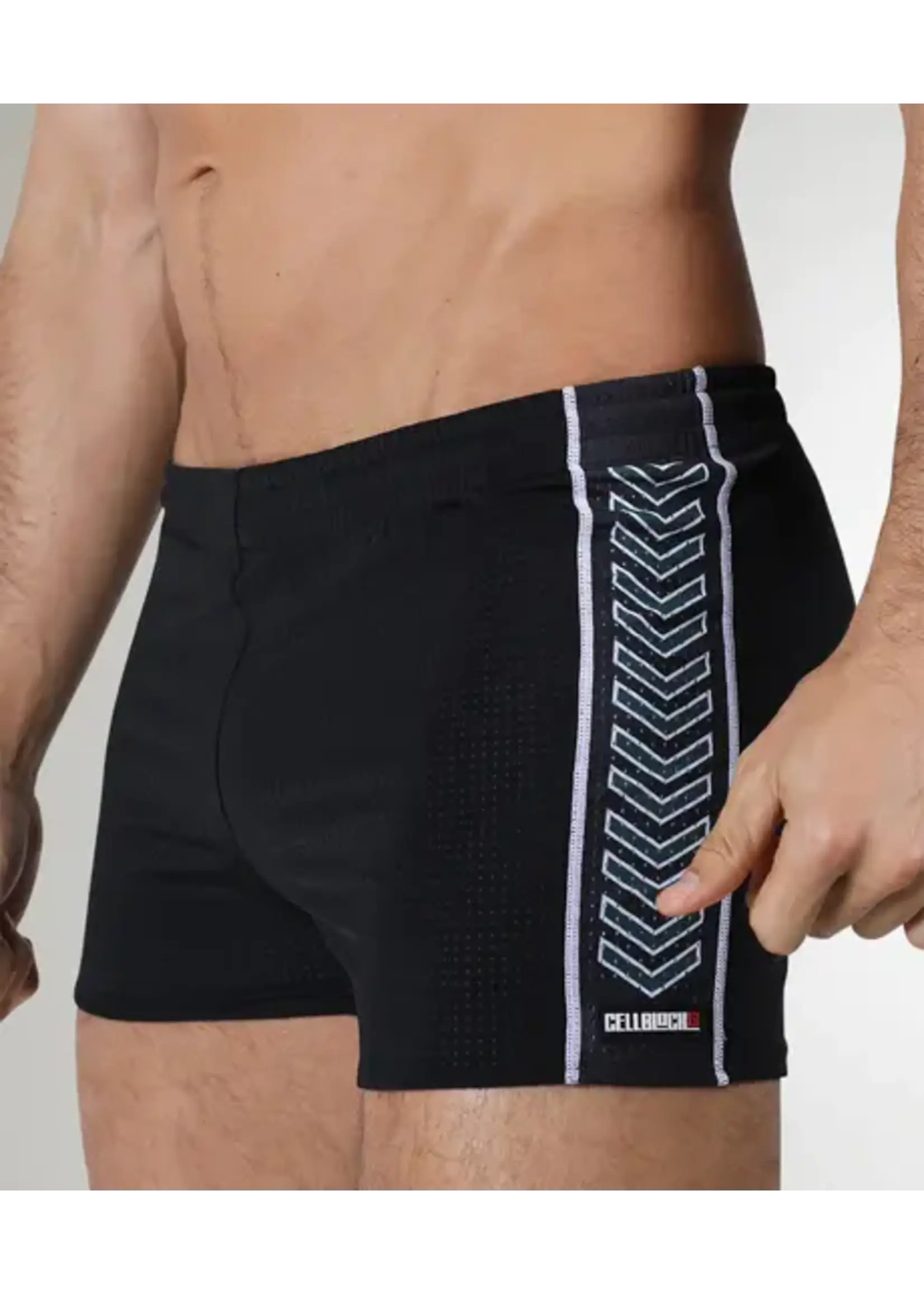 Cell Block 13 Kennel Club Spitfire Reversible Shorts