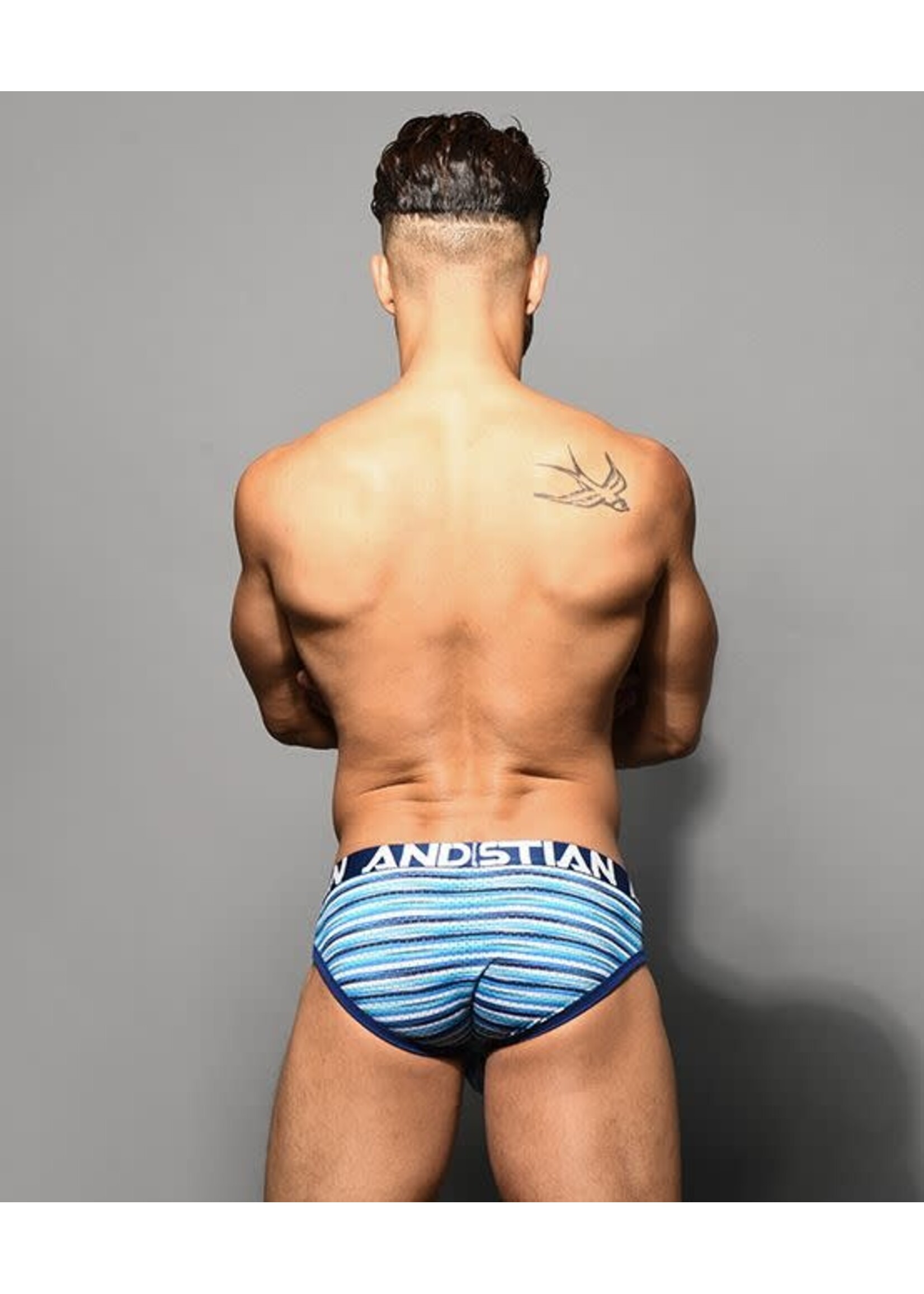 Andrew Christian Surf Stripe Mesh Brief w/ ALMOST NAKED