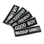 Dean and Tyler Nylon Patch - Bad Boy