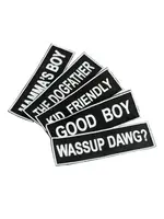 Nylon Patch - He/Him