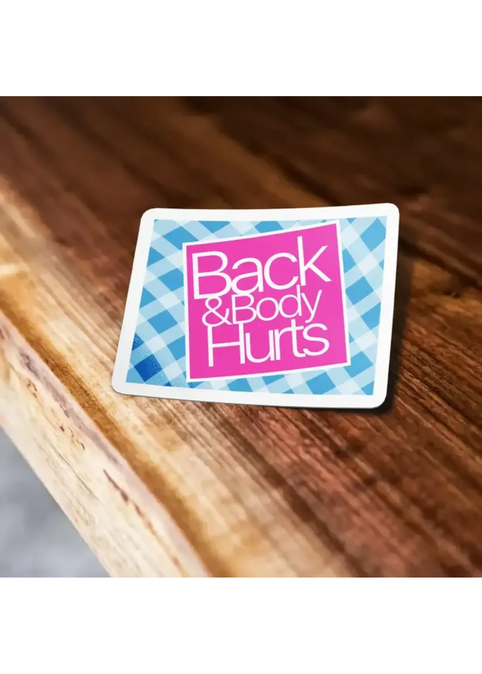 Back And Body Hurts Sticker