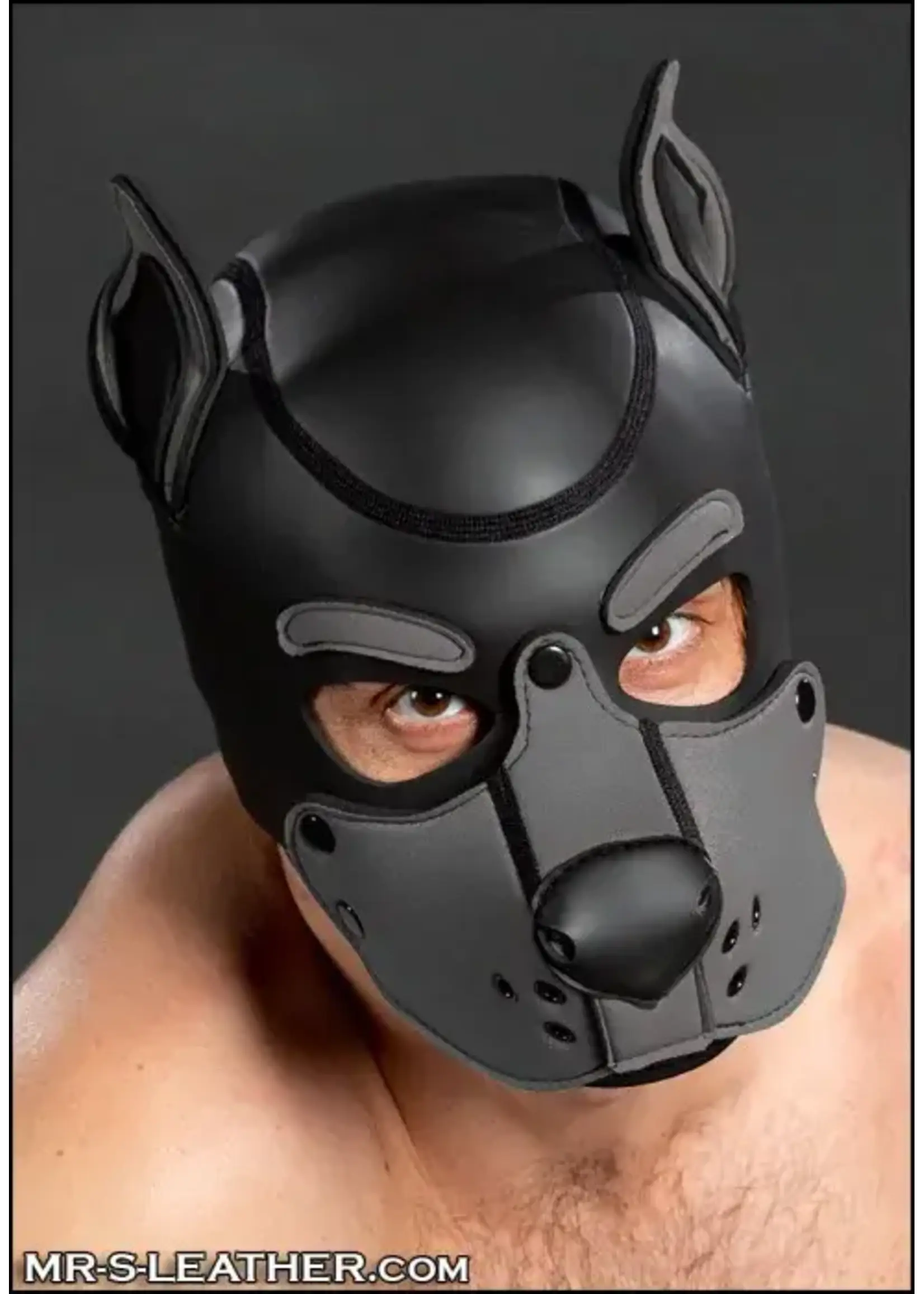 Mr. S Leather Neoprene K9 Hood