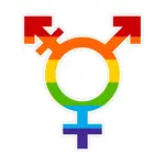 LGBTQIA+ Symbol Of Pride Sticker