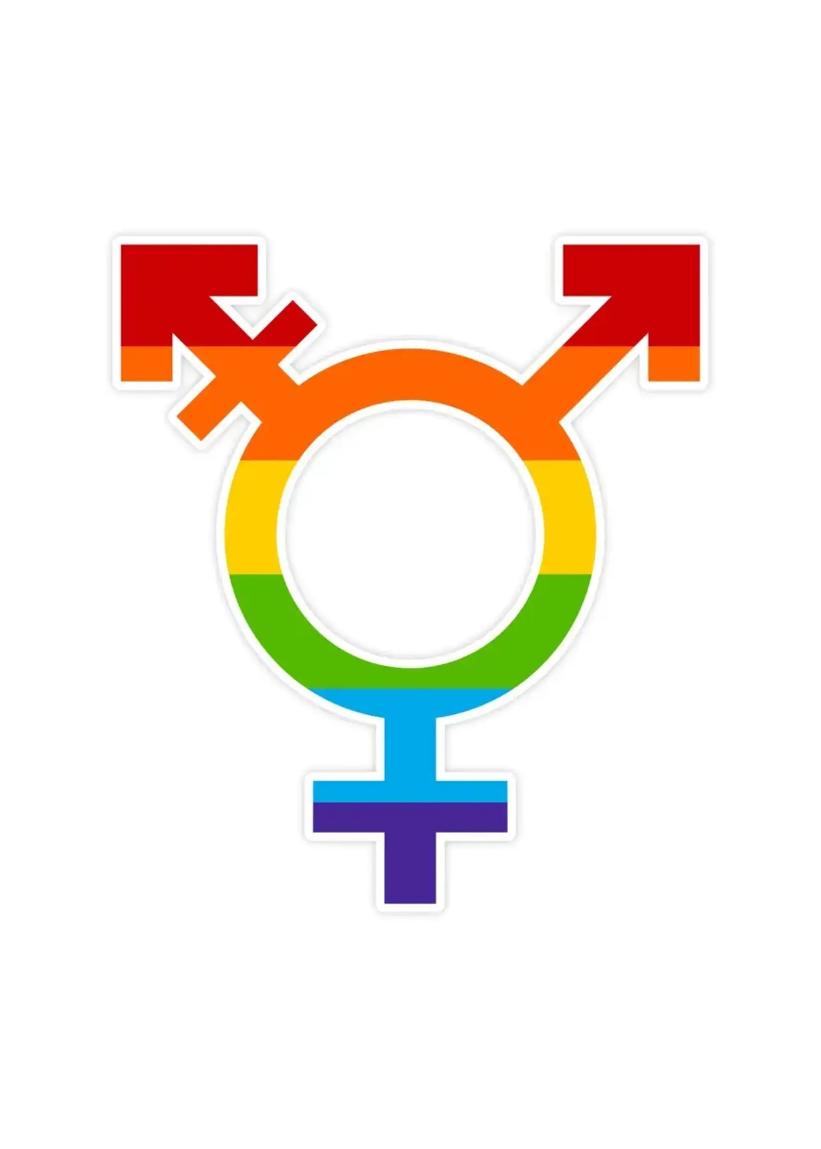 LGBTQIA+ Symbol Of Pride Sticker