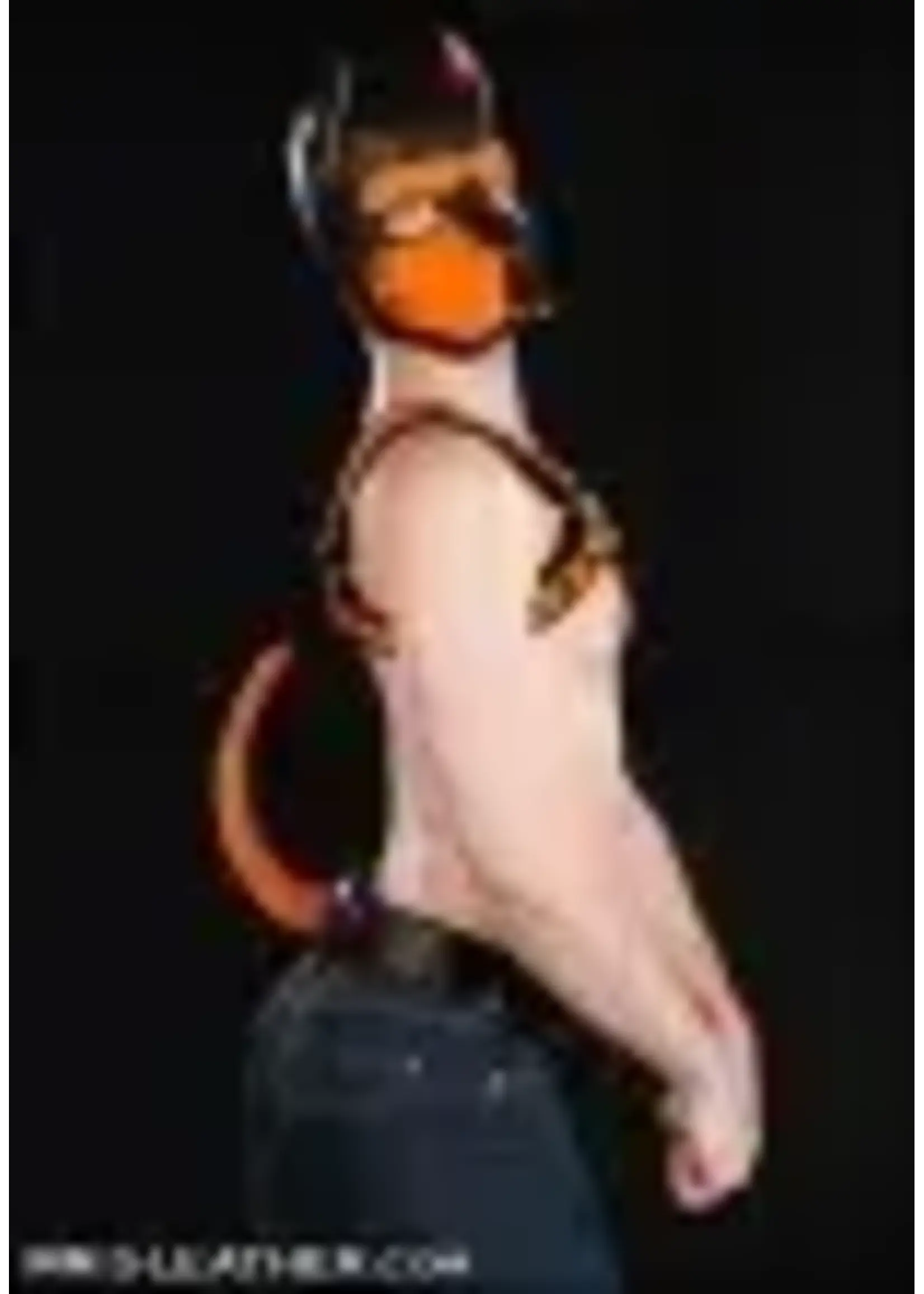 Mr. S Leather MR.S - Show Tail