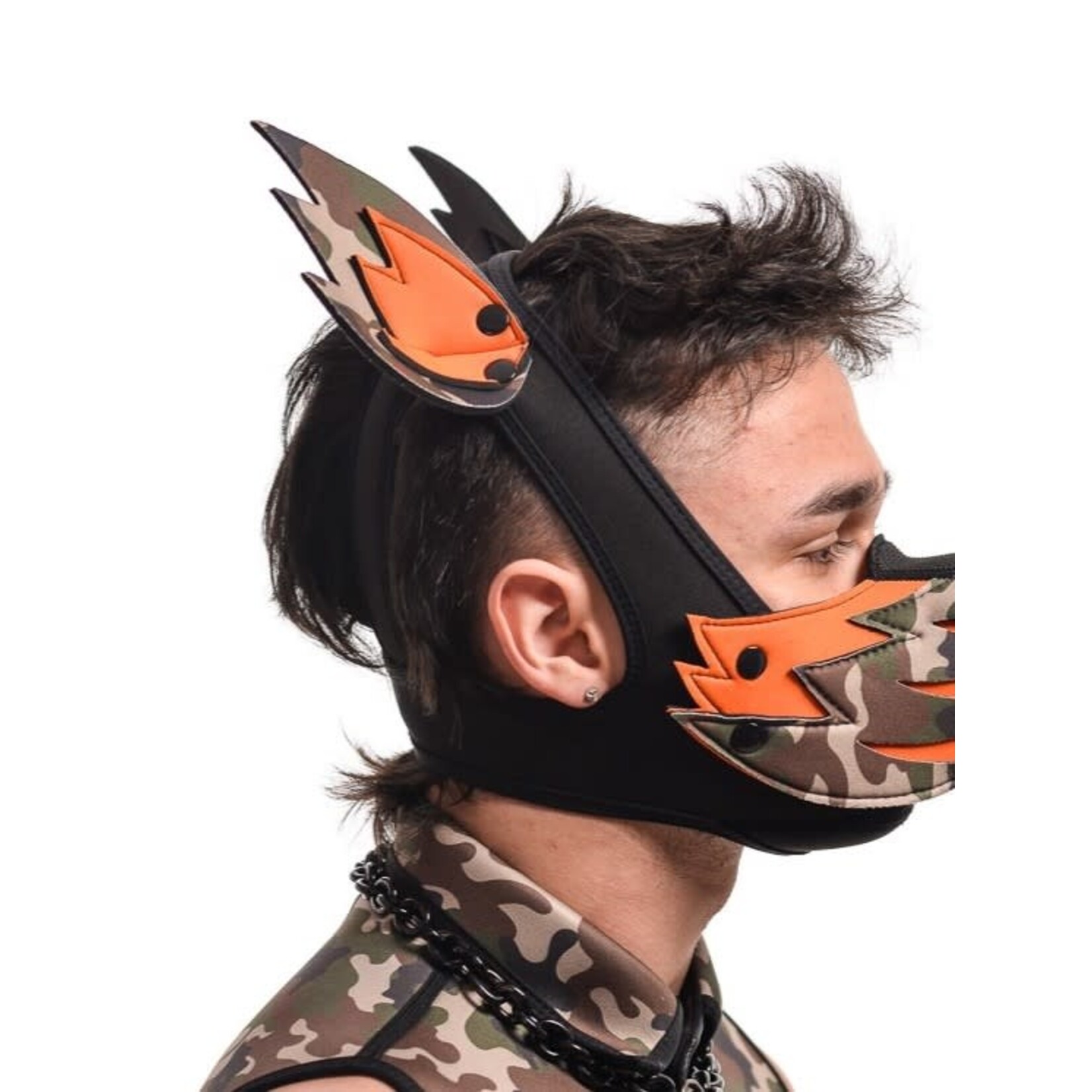 Mistr Bear Neo K-Wolf Ears Only