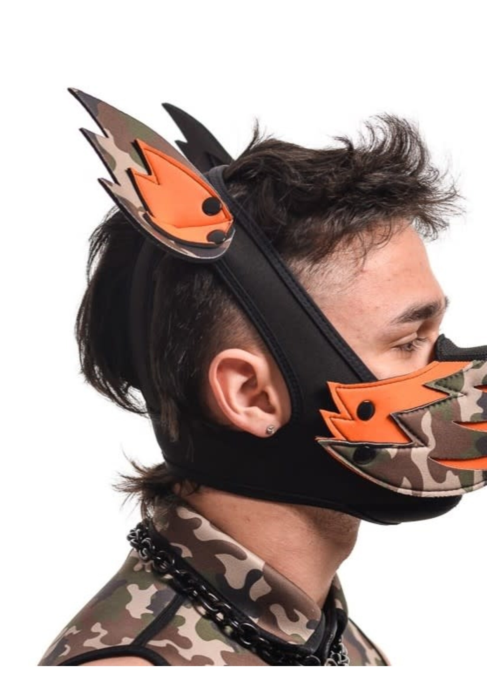 Mistr Bear Neo K-Wolf Ears Only