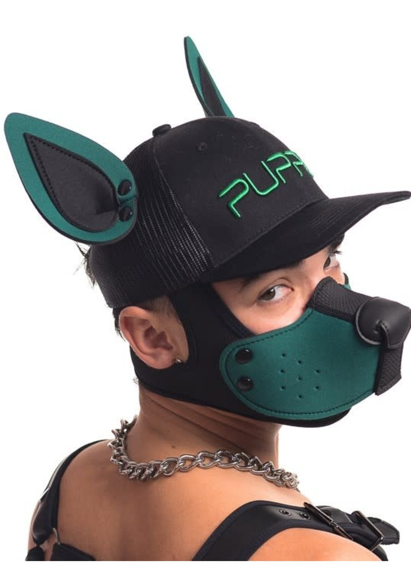 Mistr Bear Neo K9 Ears 2 Colours Ears Only