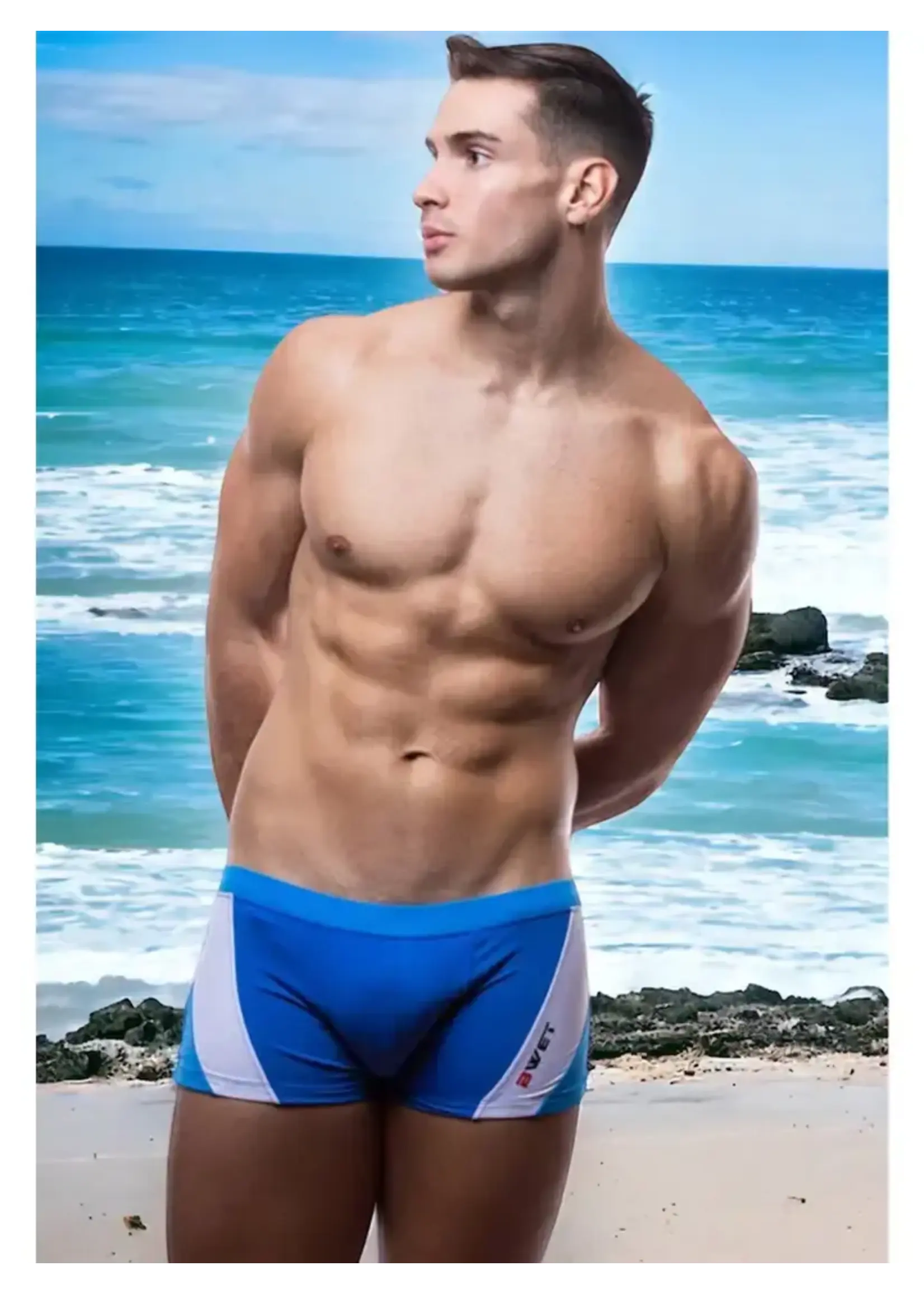 BWet Santa Monica Beach Swimming Trunks