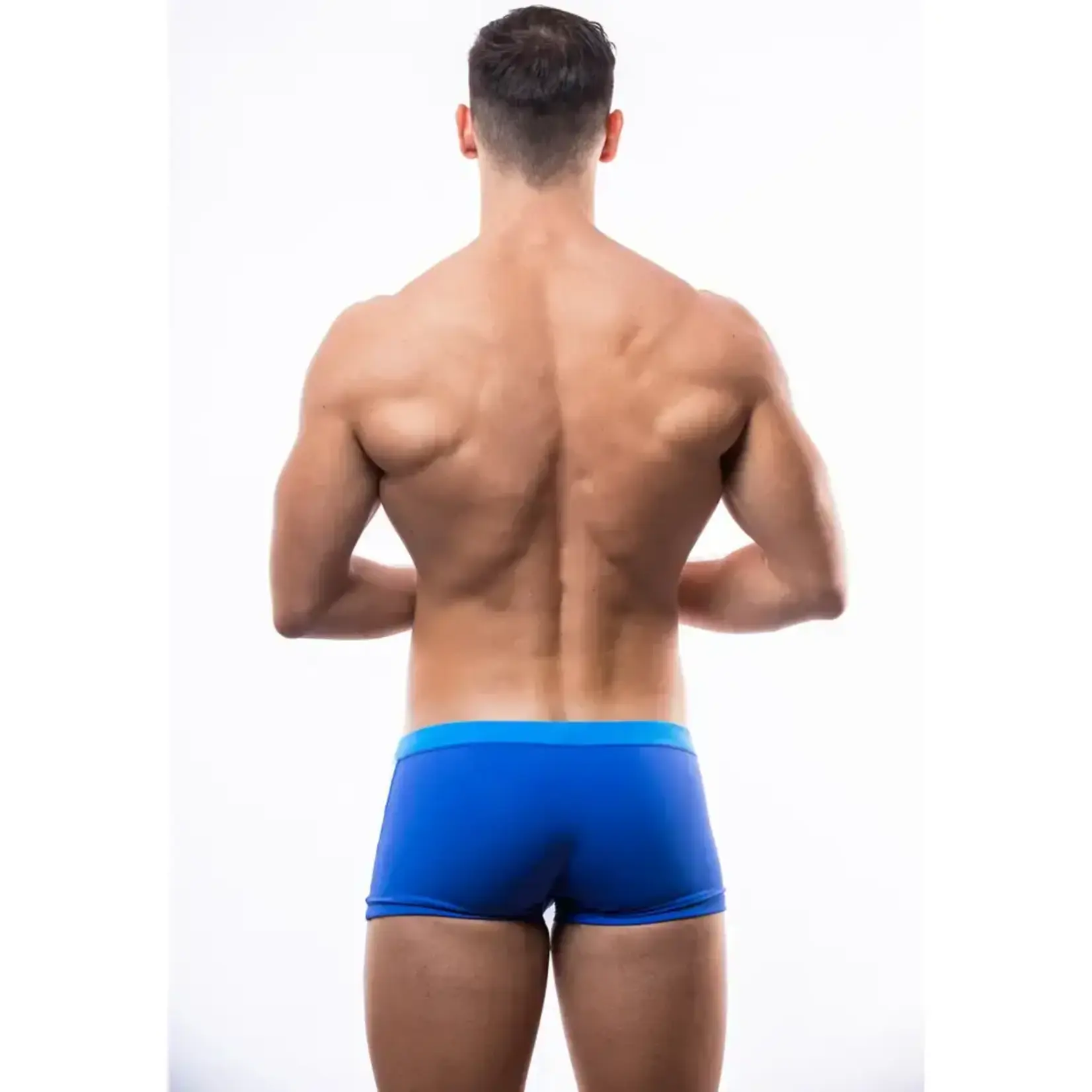 BWet Santa Monica Beach Swimming Trunks