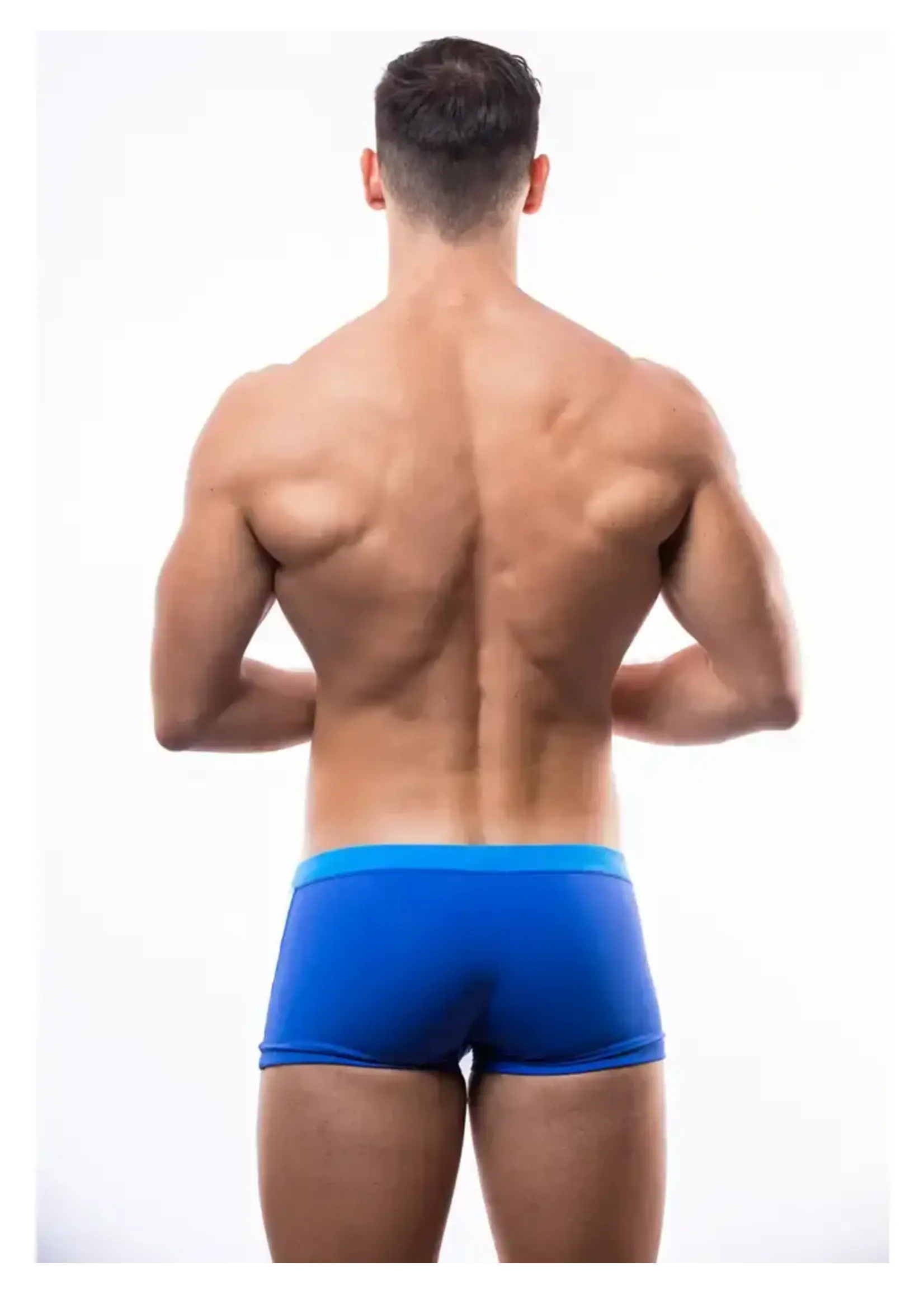 BWet Santa Monica Beach Swimming Trunks